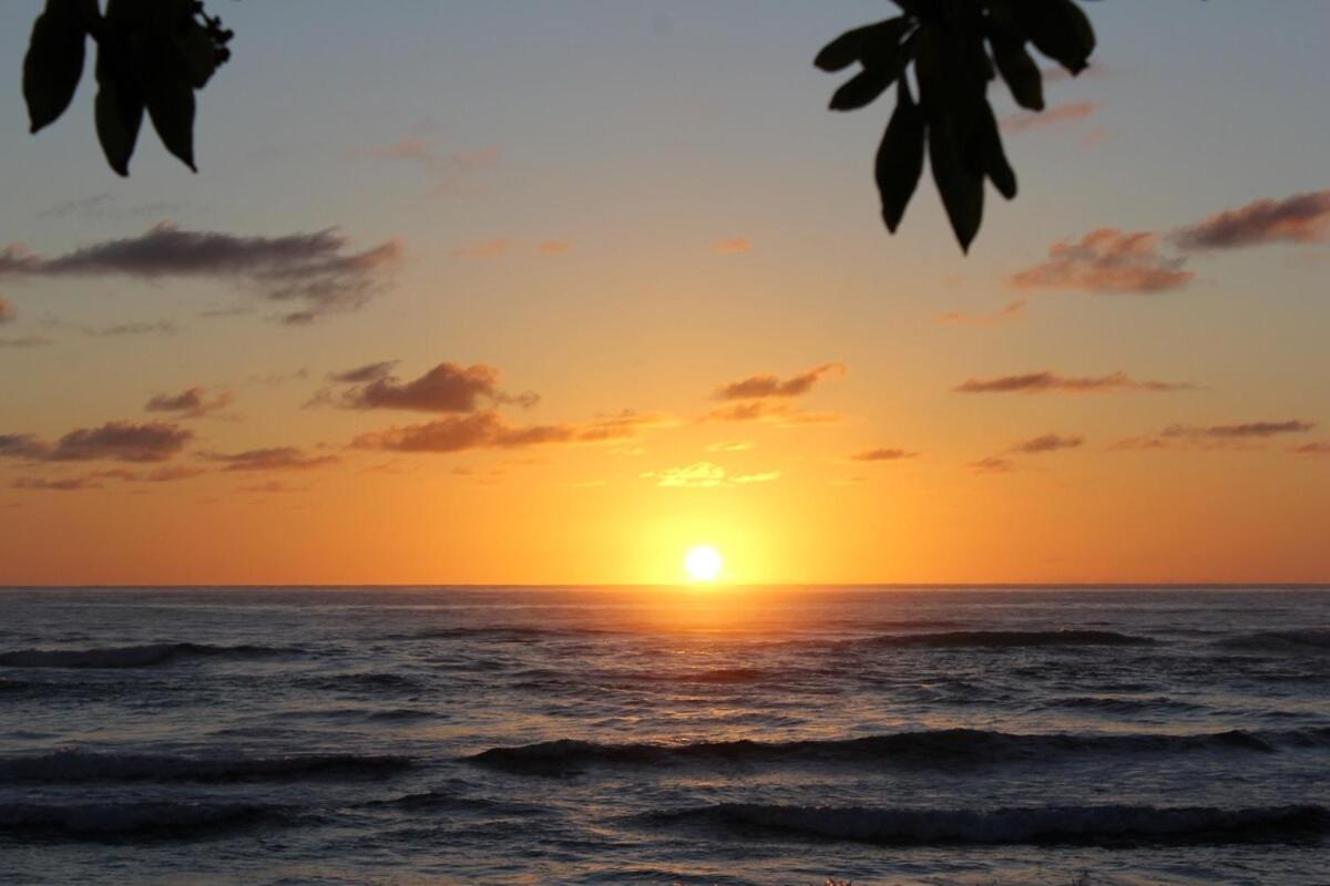 Mountain View Double Bed Room, Beachfront Resort, Lanai, AC, Pool, Restaurant, Gym, Spa