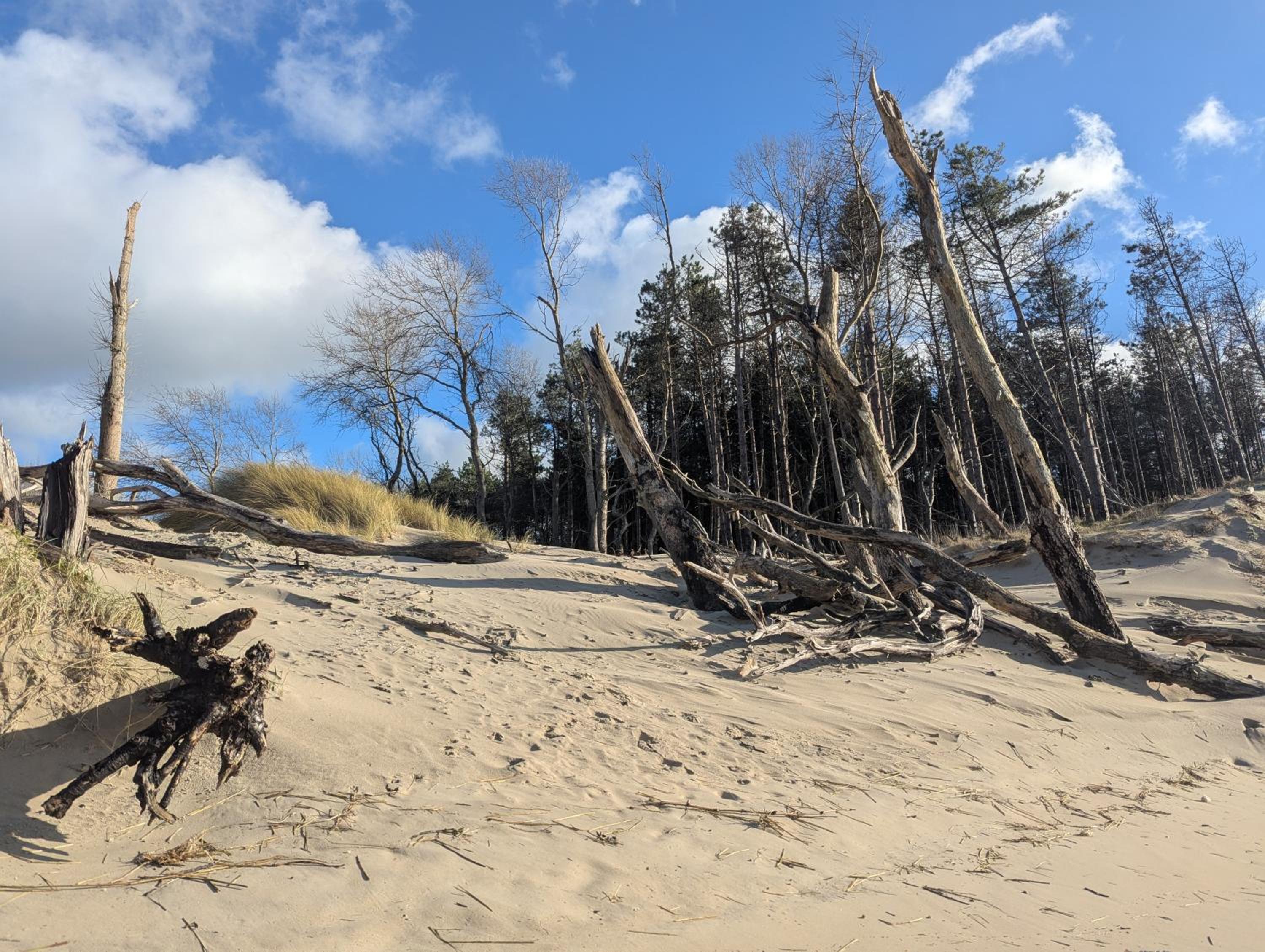 Opale Baie, photo 33