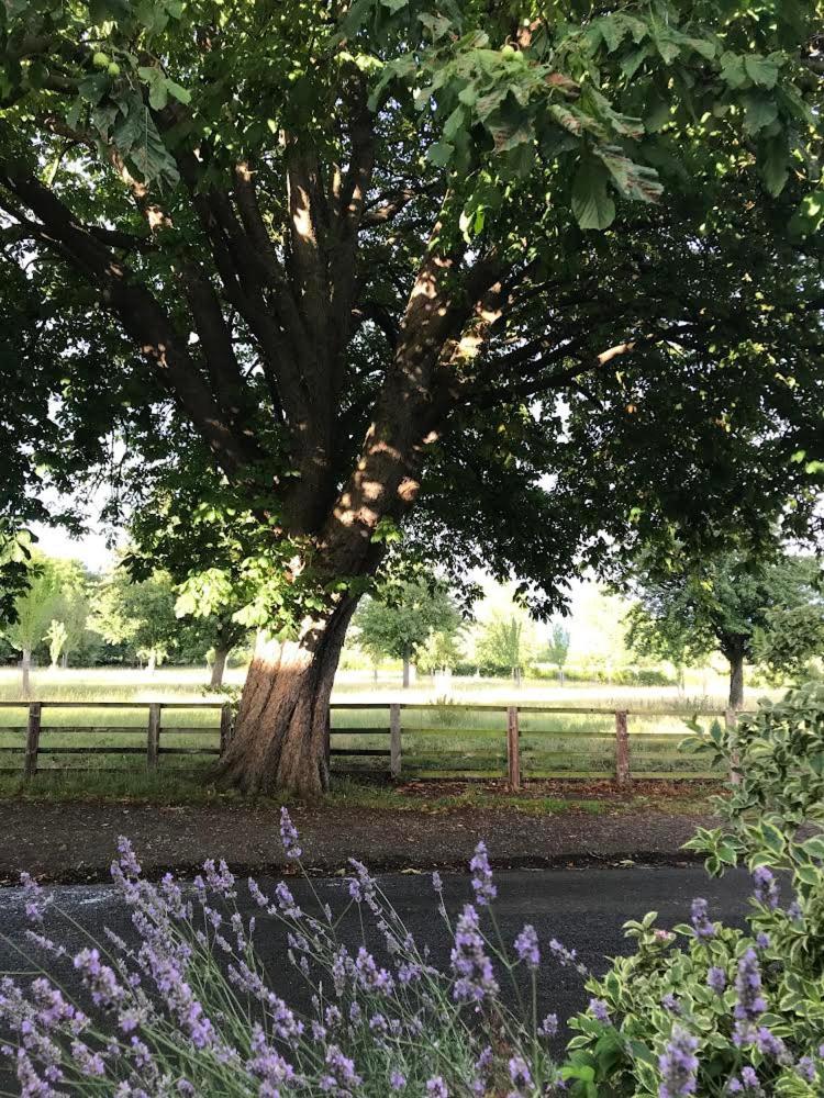 Four Seasons Cottage - in the Cotswolds