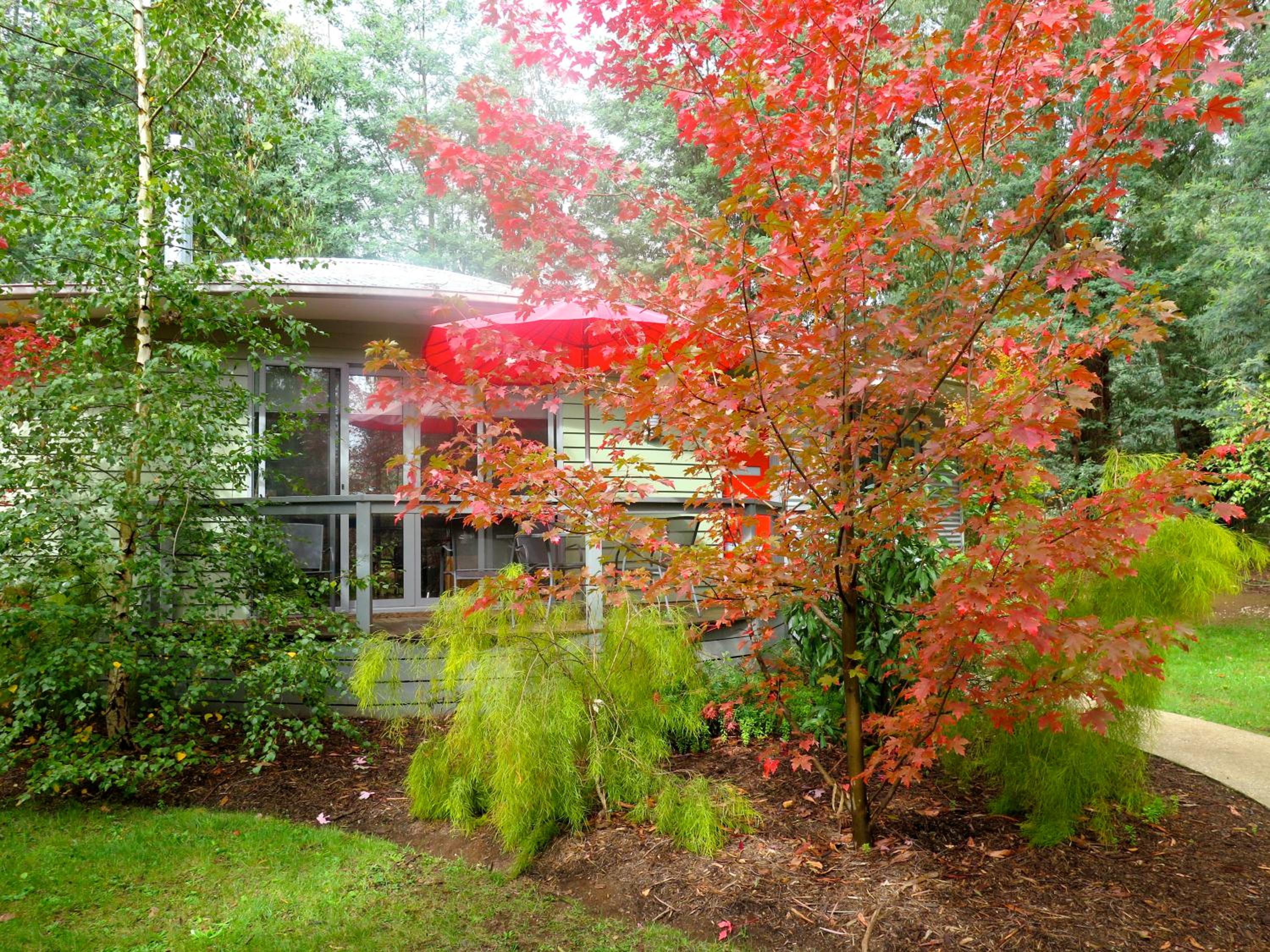 Dalrymples Guest Cottages view 4