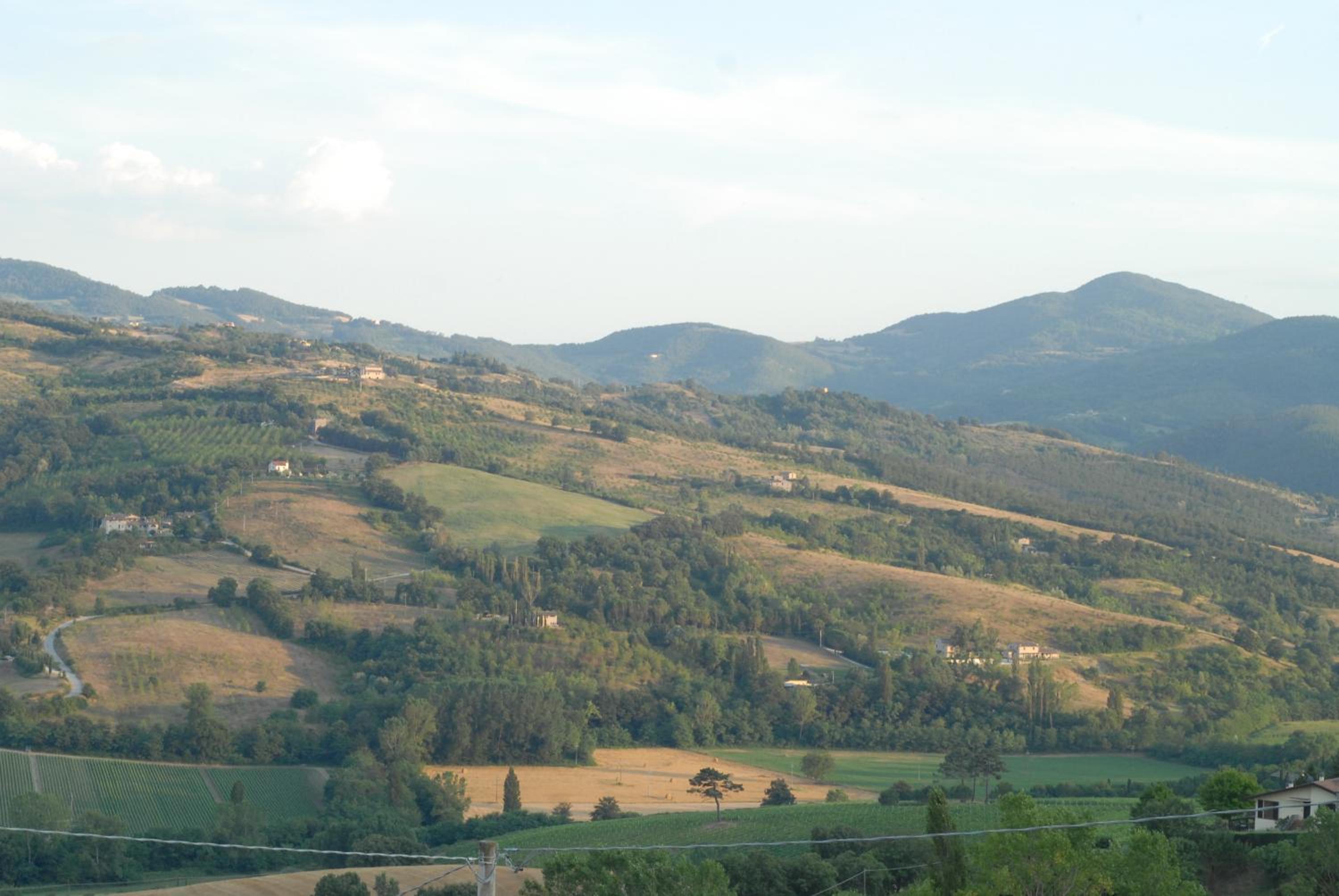 Maridiana Alpaca Country House