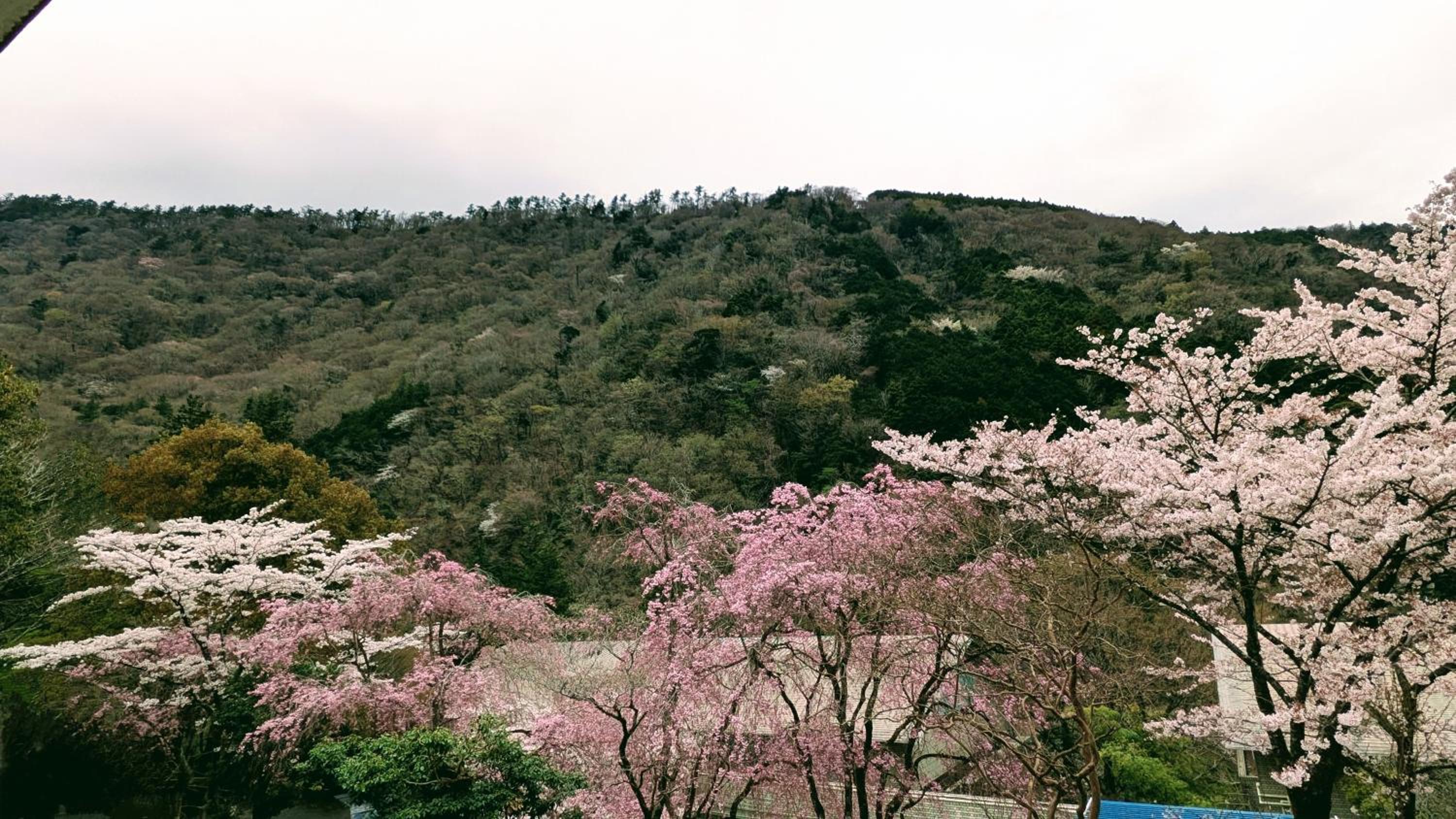 condominium SAKURA B5