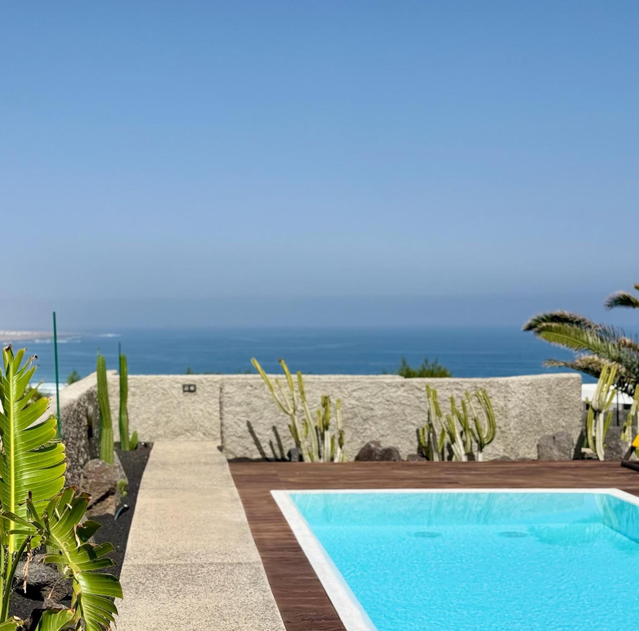 Canaryislandshost I Oliva
