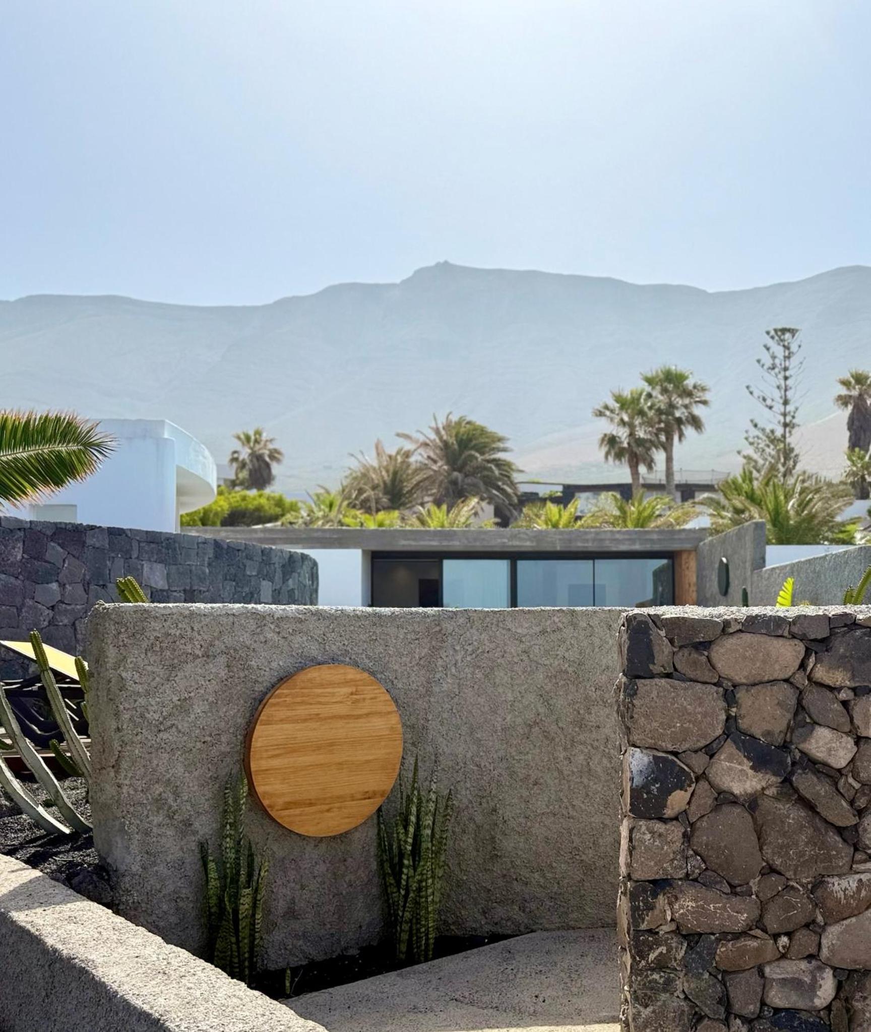 Canaryislandshost I Oliva