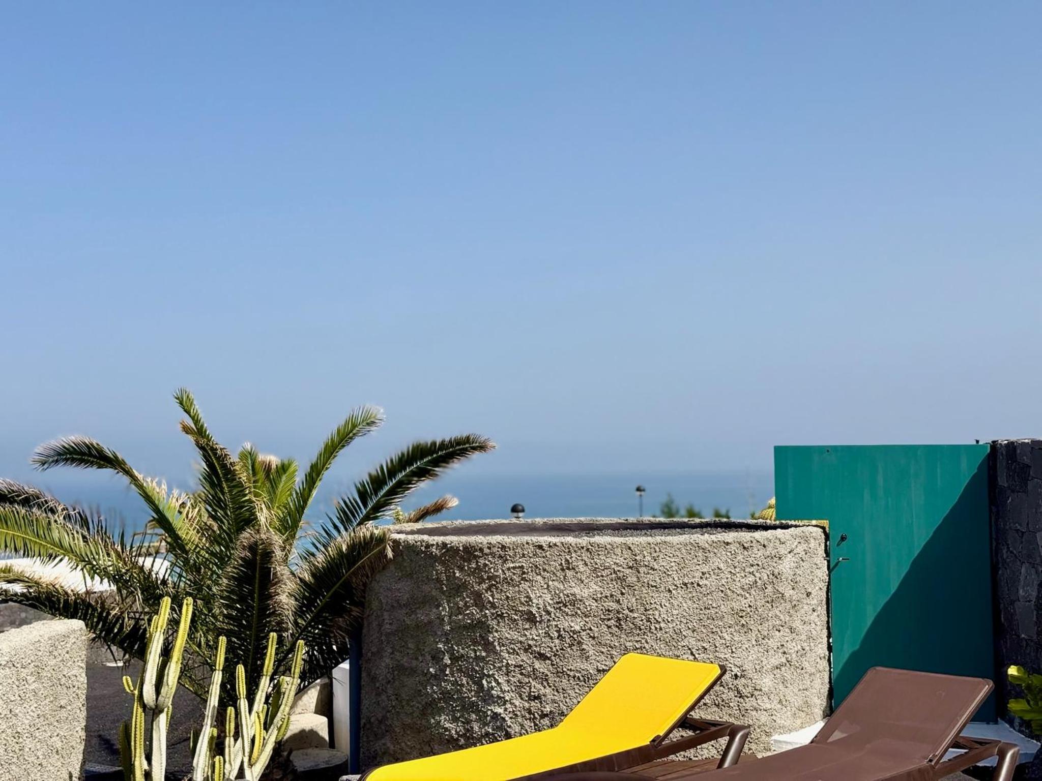 Canaryislandshost I Oliva