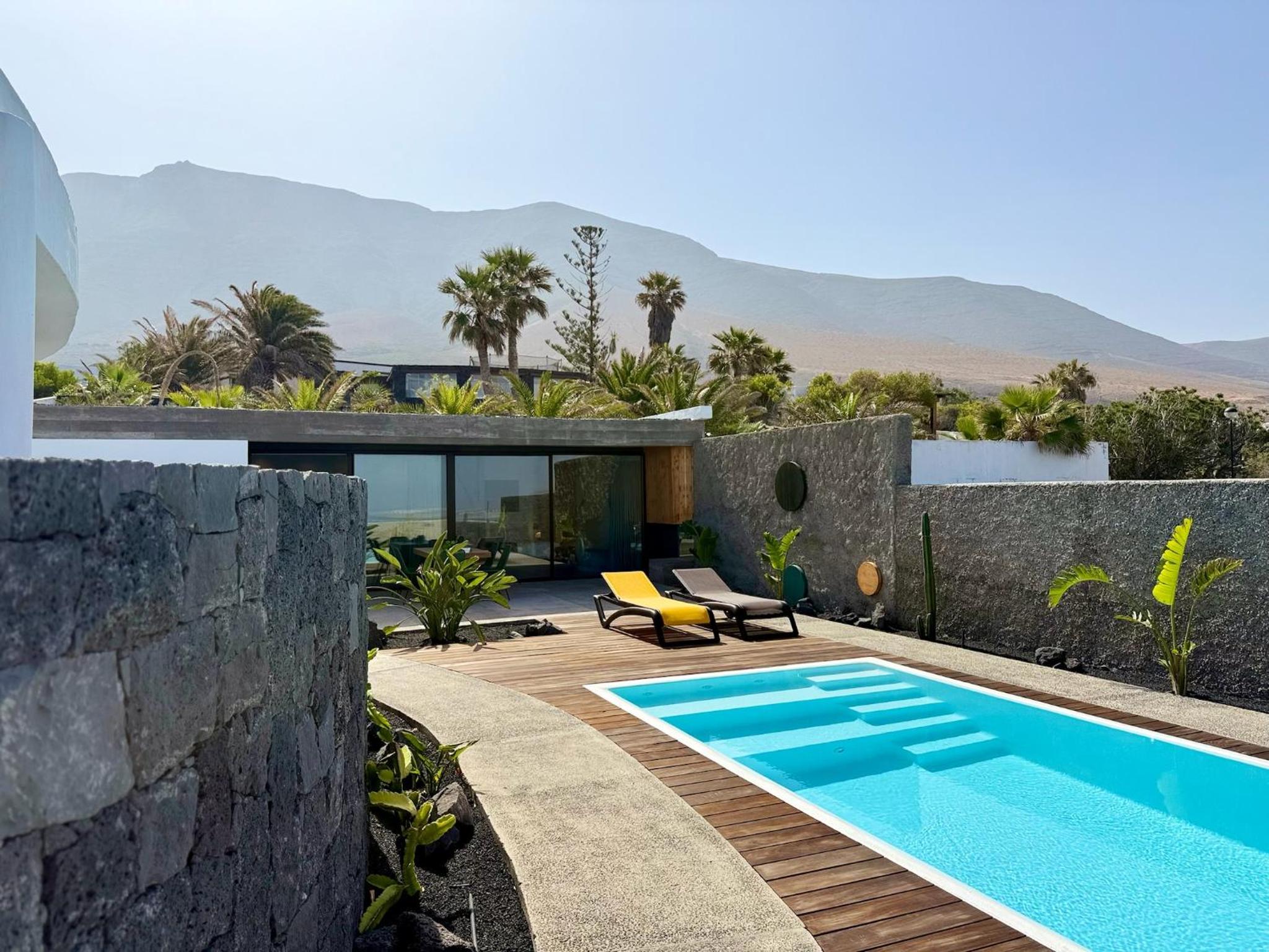 Canaryislandshost I Oliva