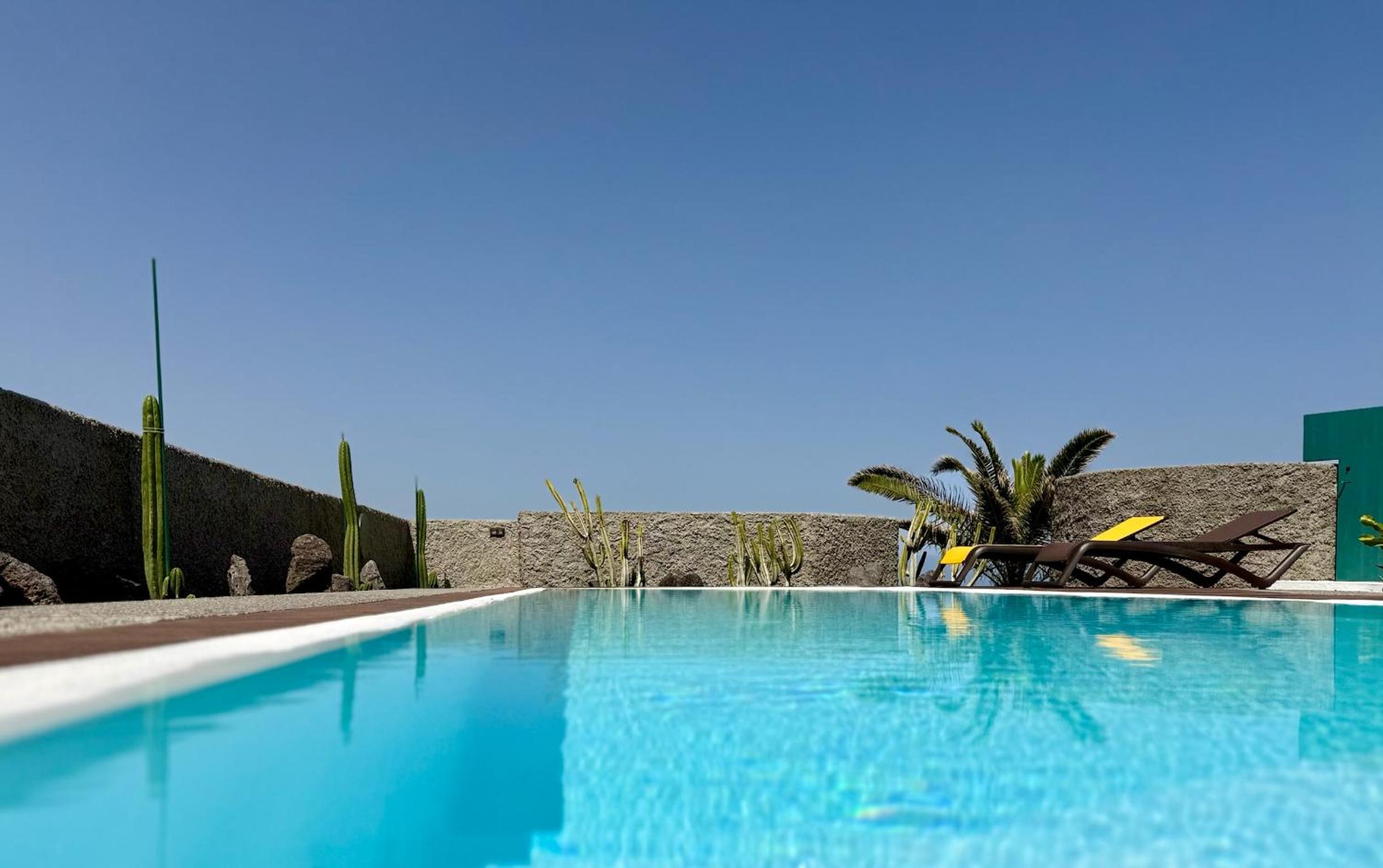 Canaryislandshost I Oliva