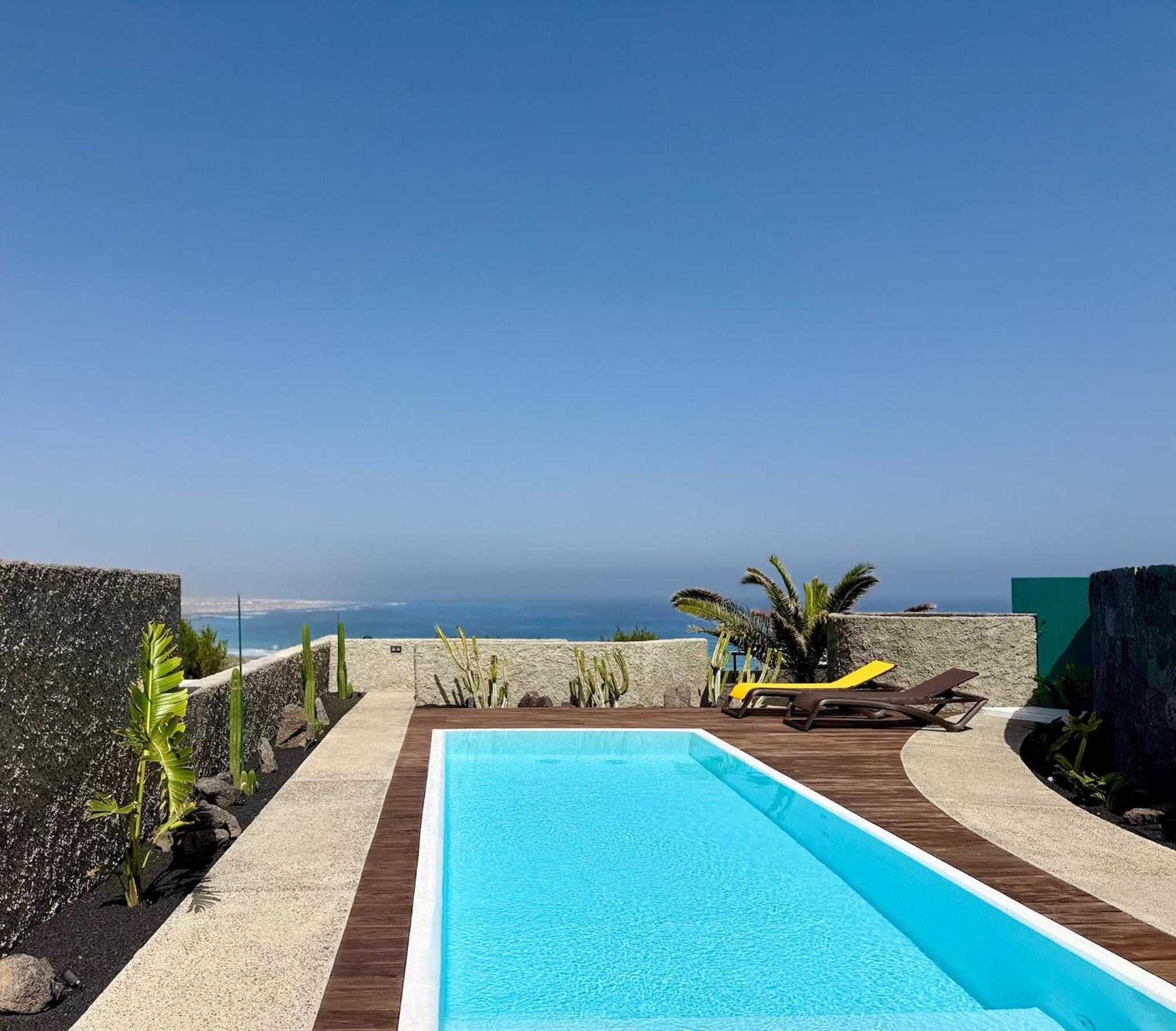 Canaryislandshost I Oliva