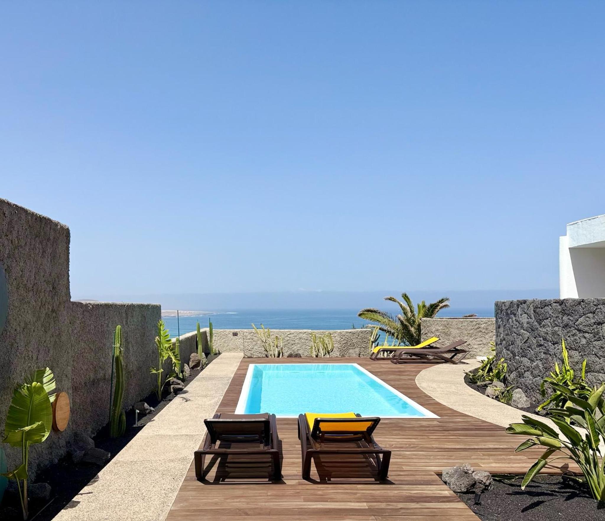 Canaryislandshost I Oliva