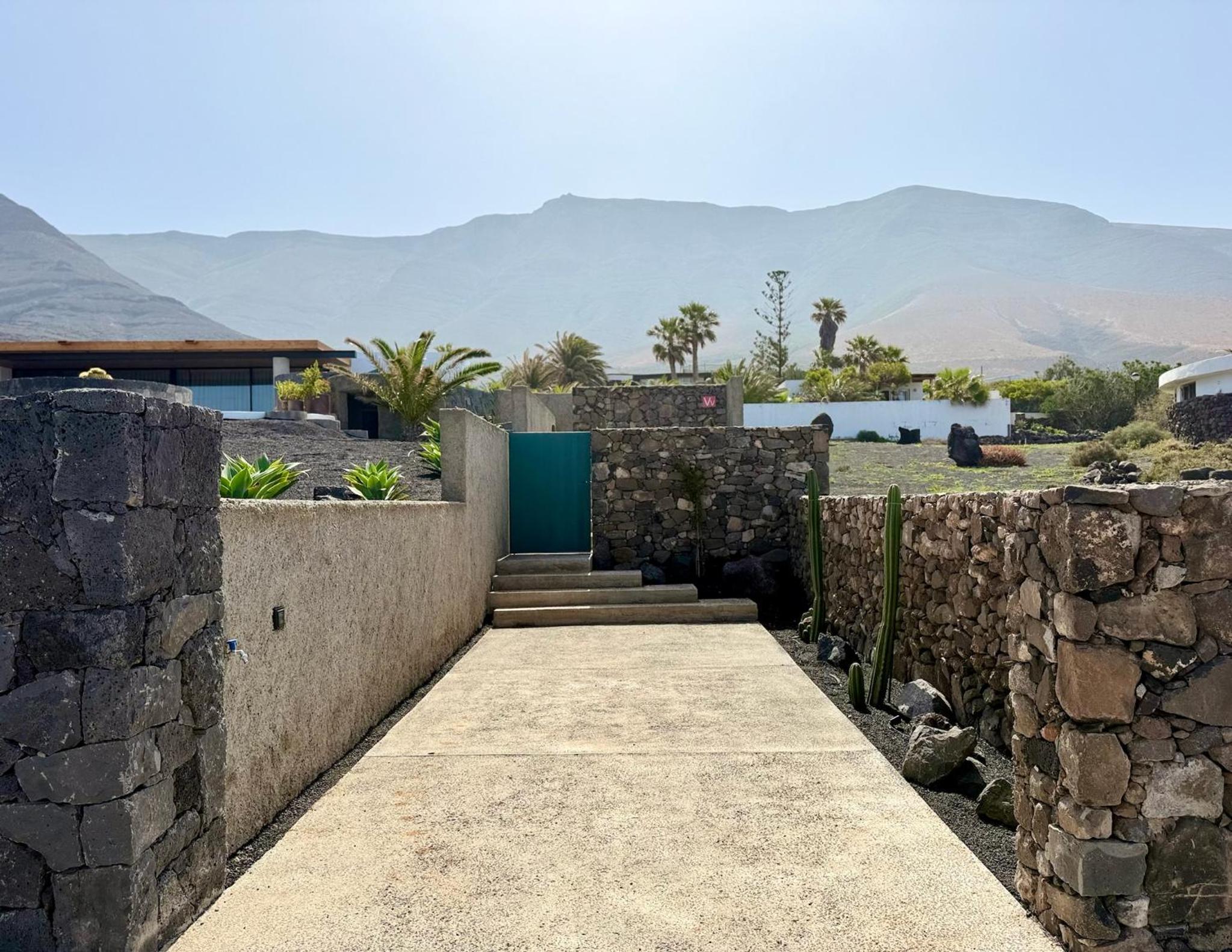 Canaryislandshost I Oliva