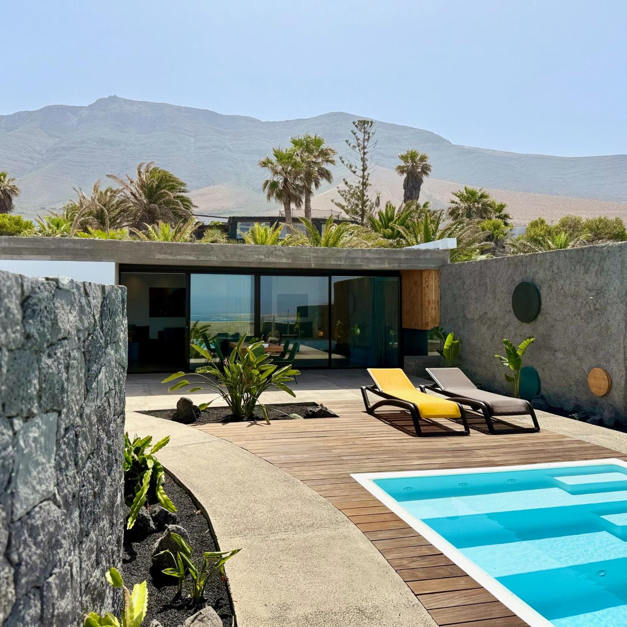 Canaryislandshost I Oliva