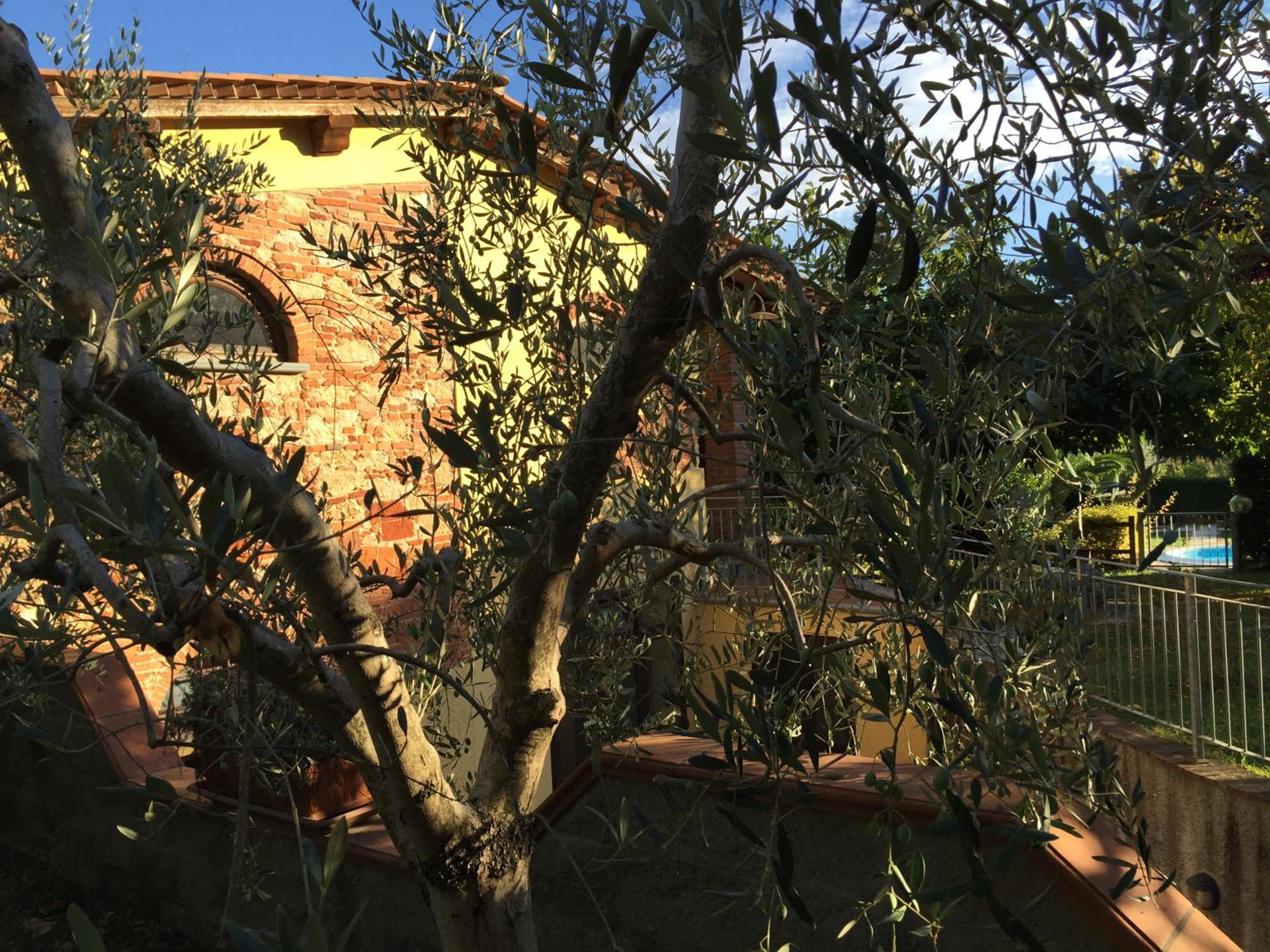La Cantina del Podere dei Boni view 3