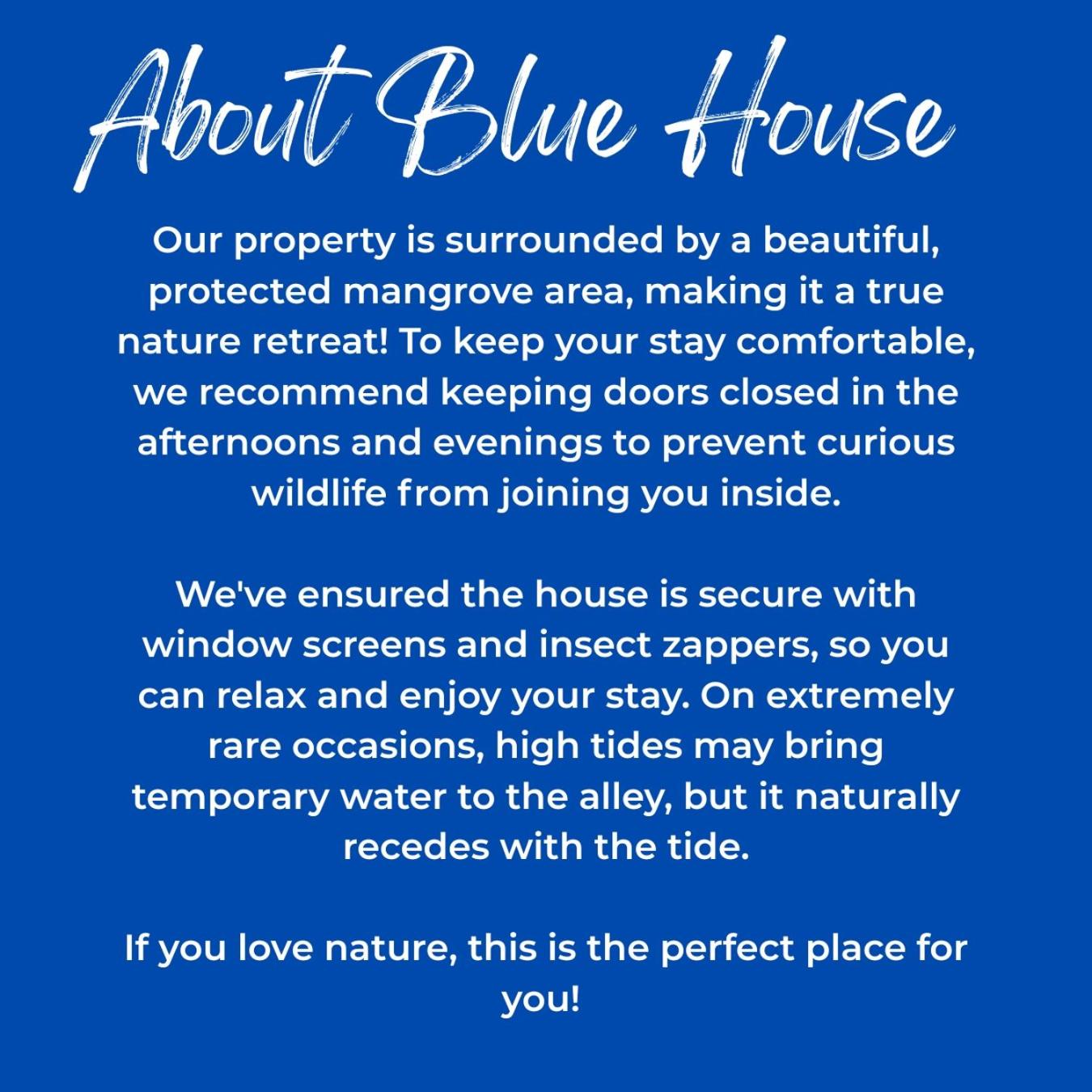 Blue House El Nido