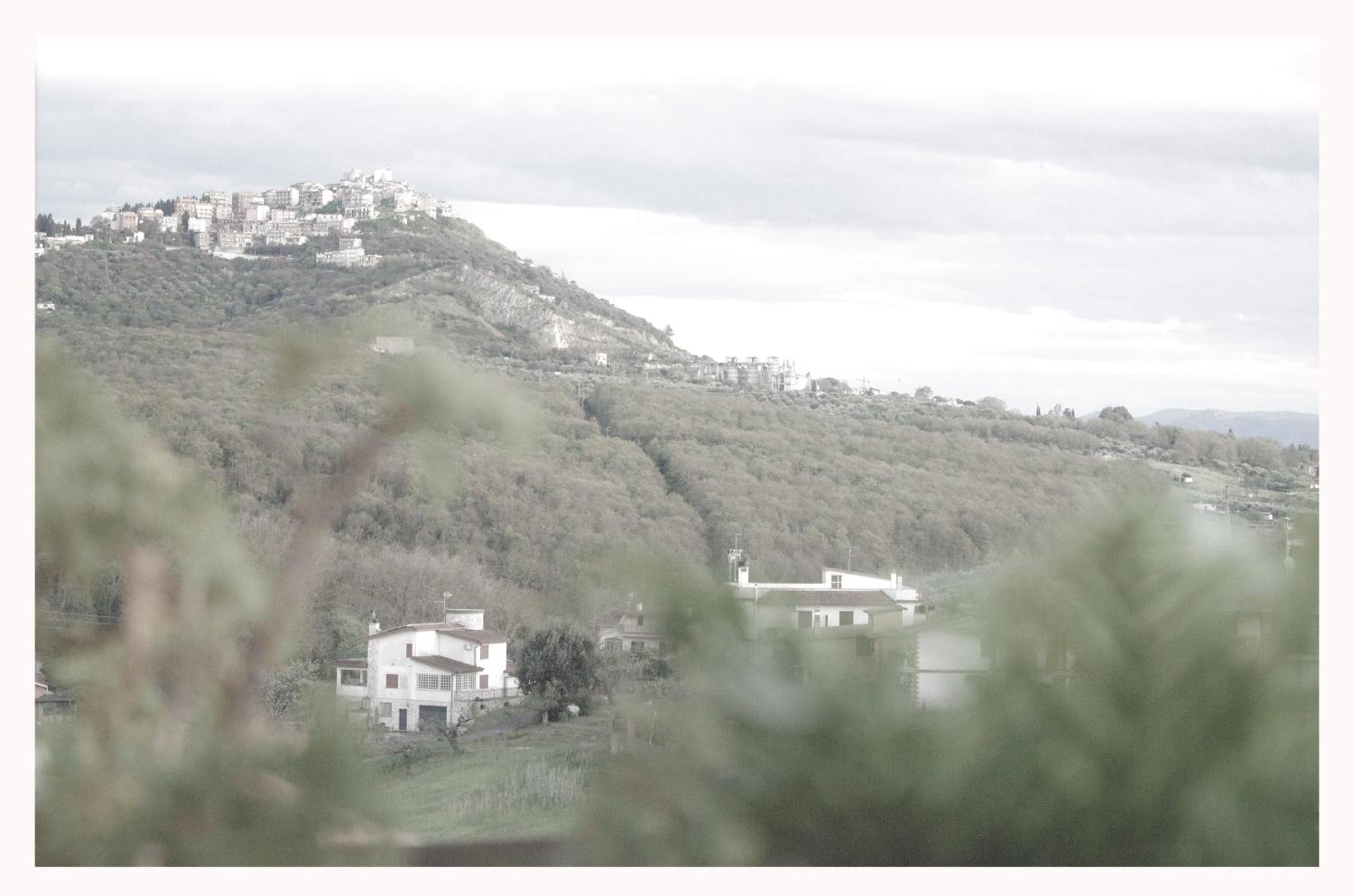 La casa di Belle