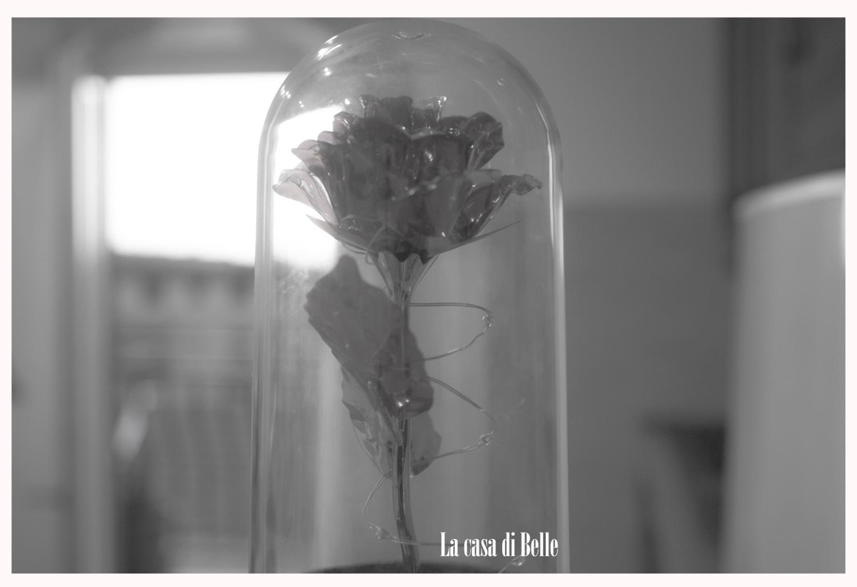 La casa di Belle