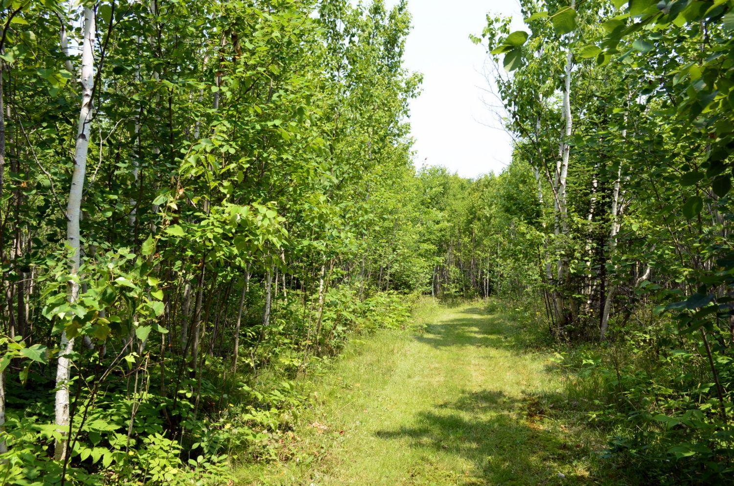 Still Point Lodge
