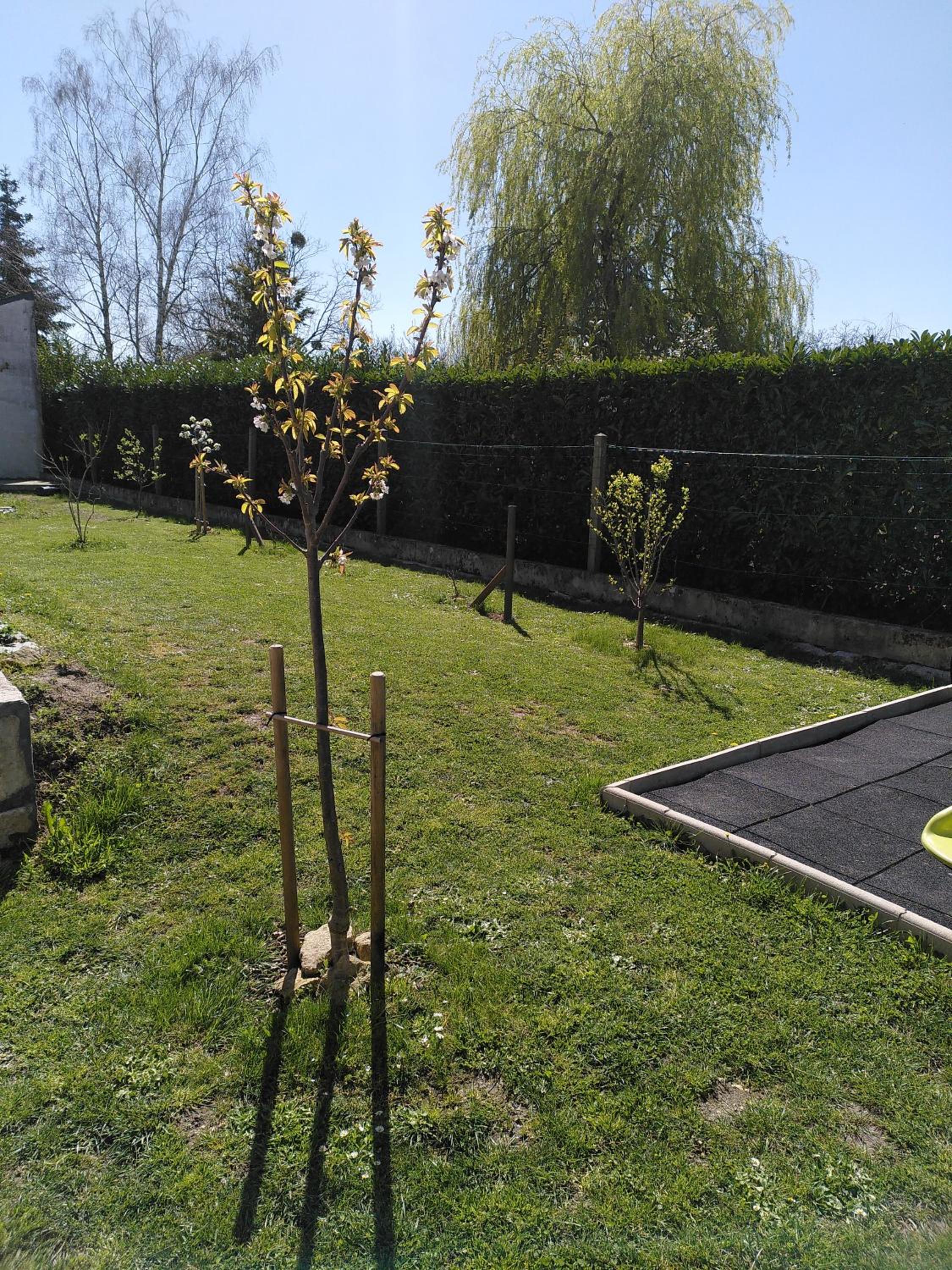 Au fil du temps, photo 36