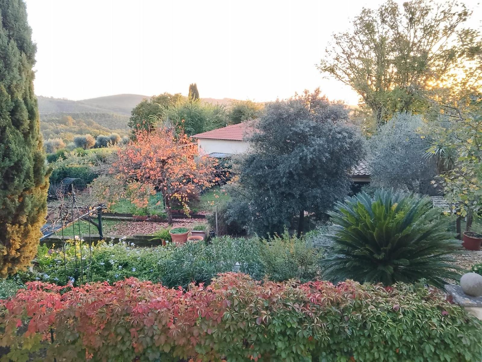 GiuMa Tuscany Historic Country House with Roof Terrace near Saturnia Hot Springs