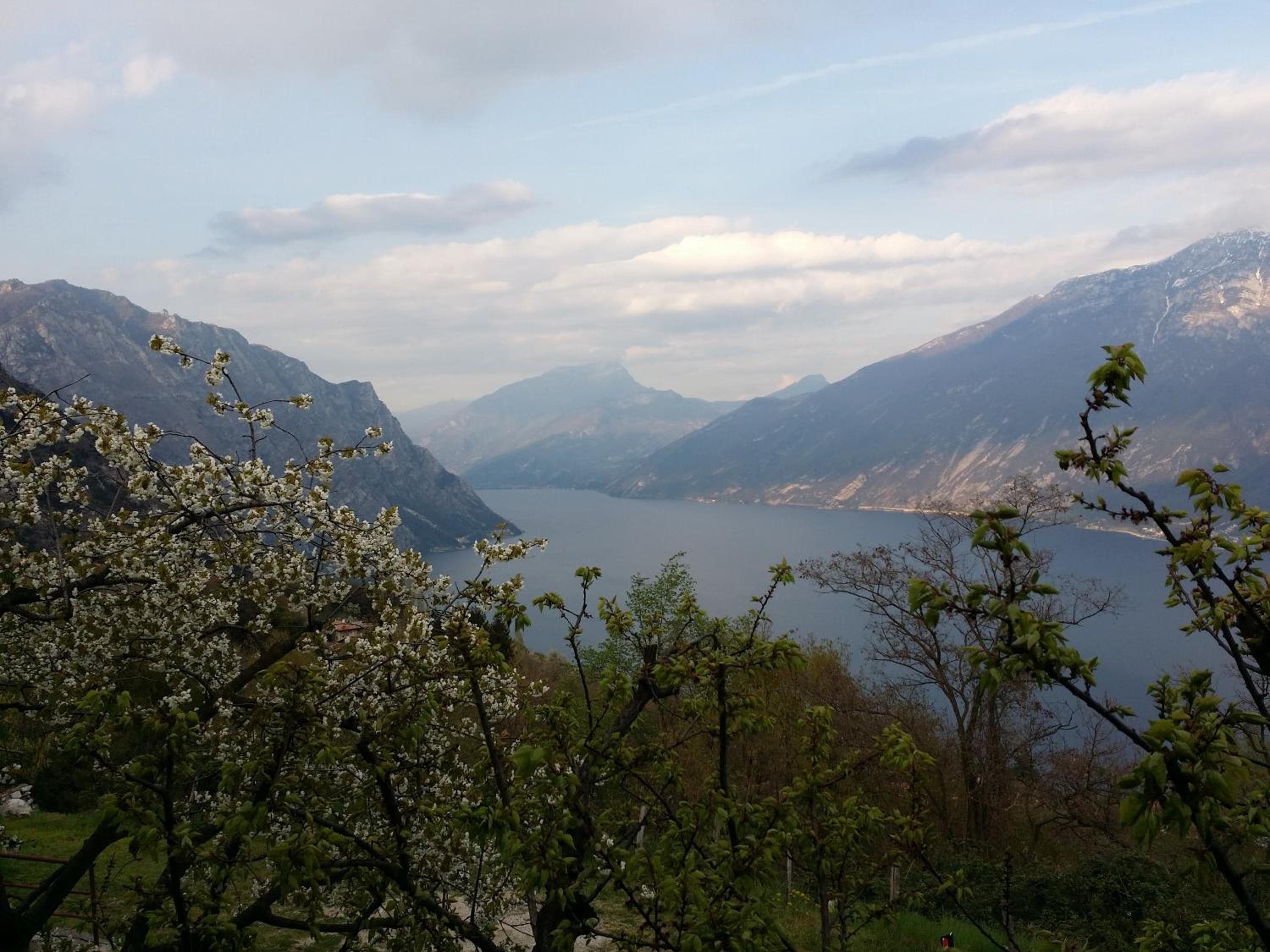 Villa Panoramica
