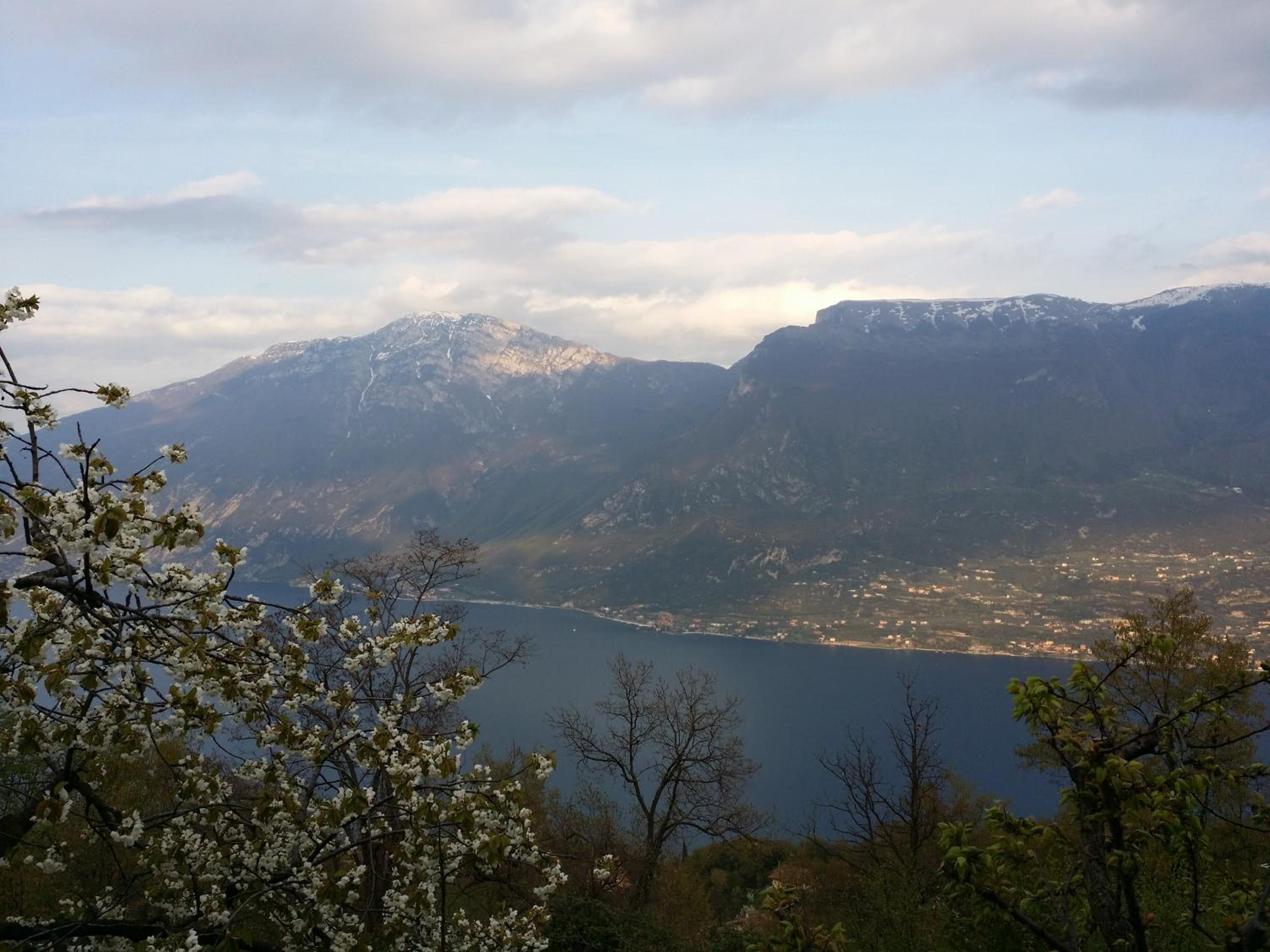 Villa Panoramica