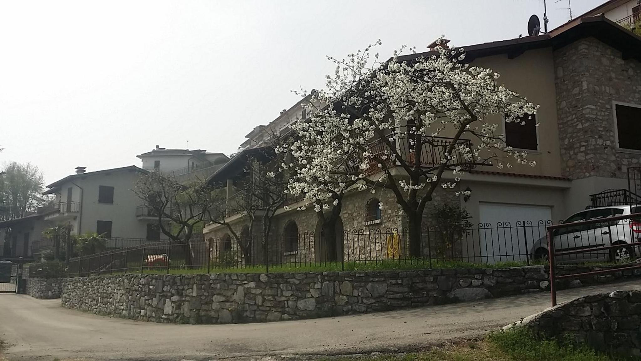 Villa Panoramica