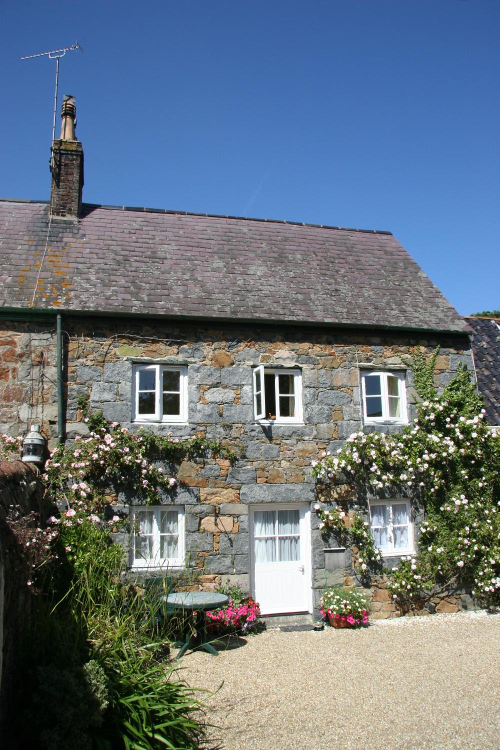 Photo 21