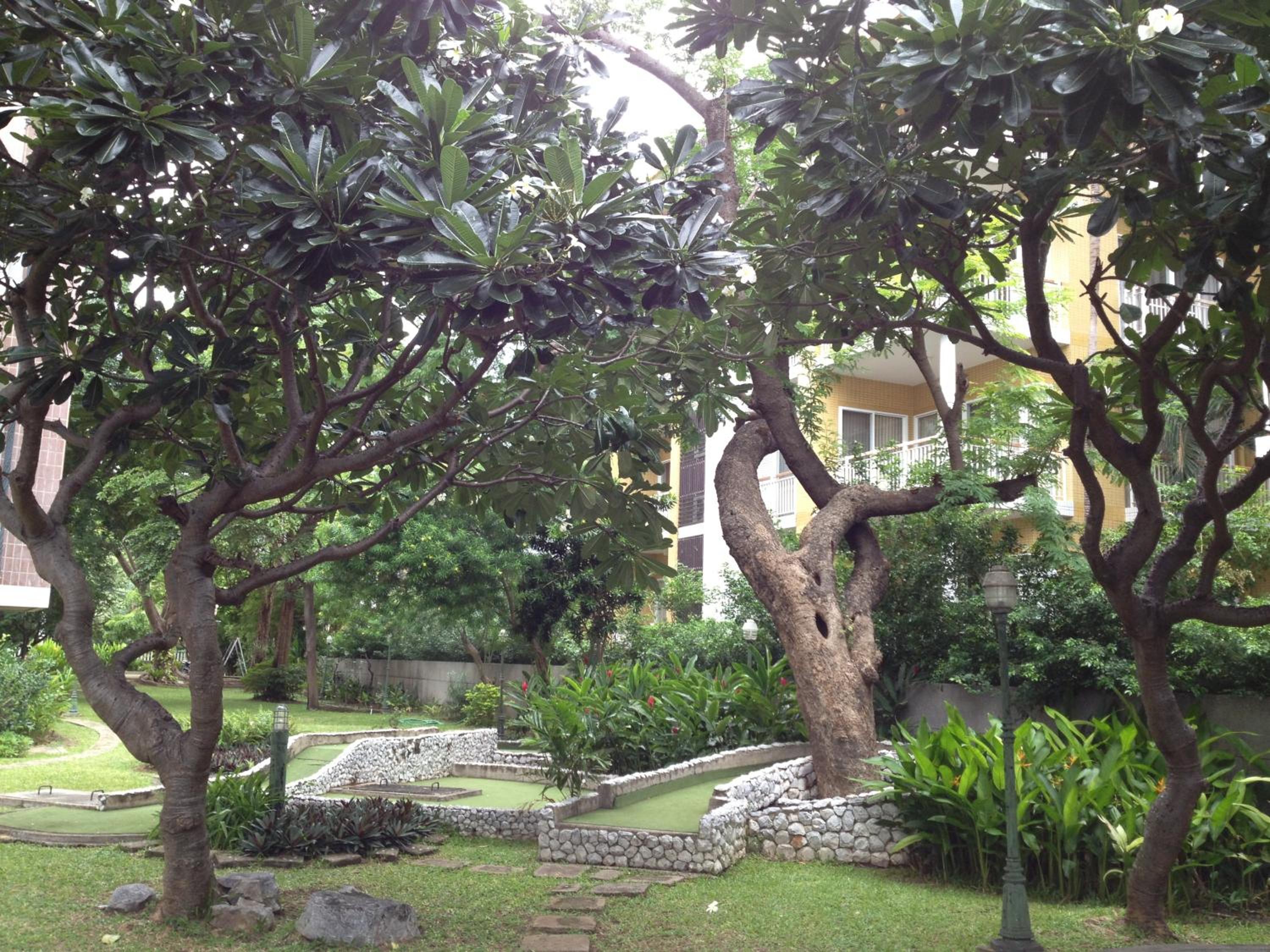 Photo 26