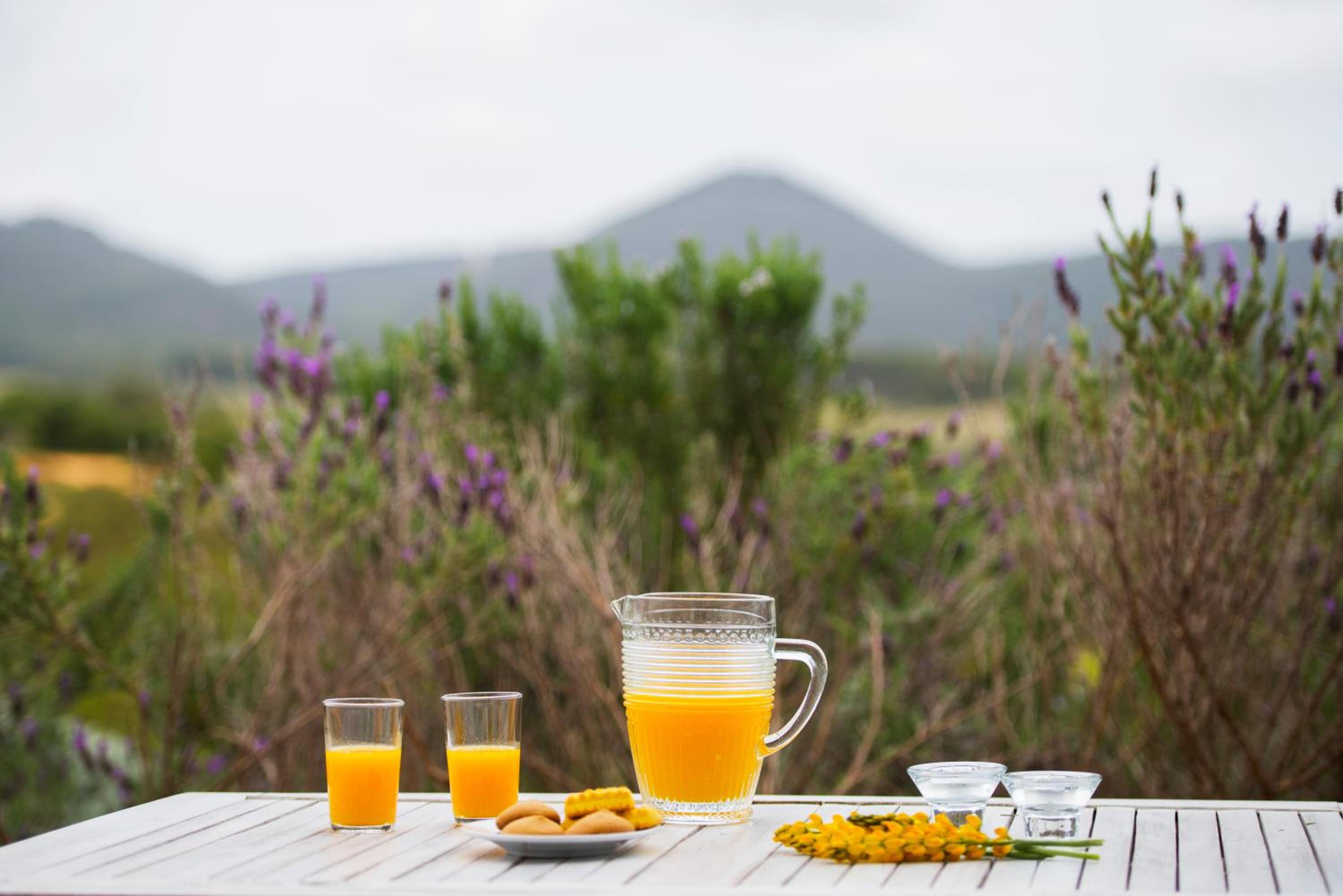 Herdade do Amarelo Nature & Spa