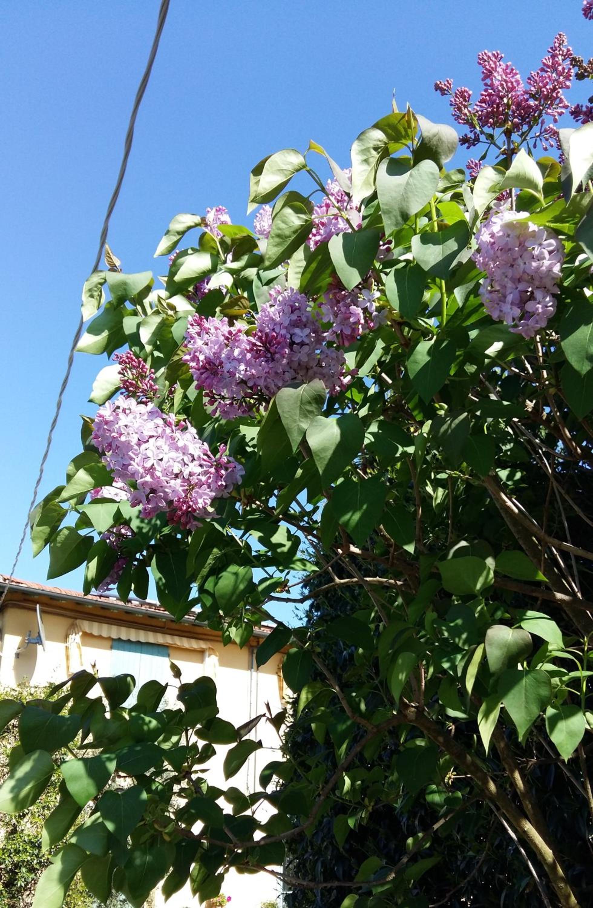Photo 15