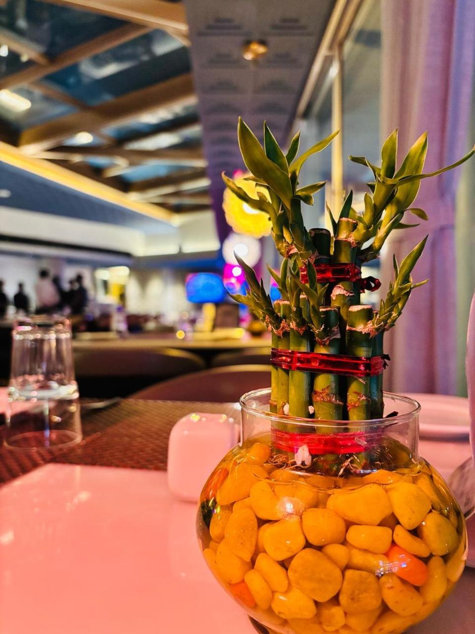 Delta Suites - The Soothing Luxury, photo 8