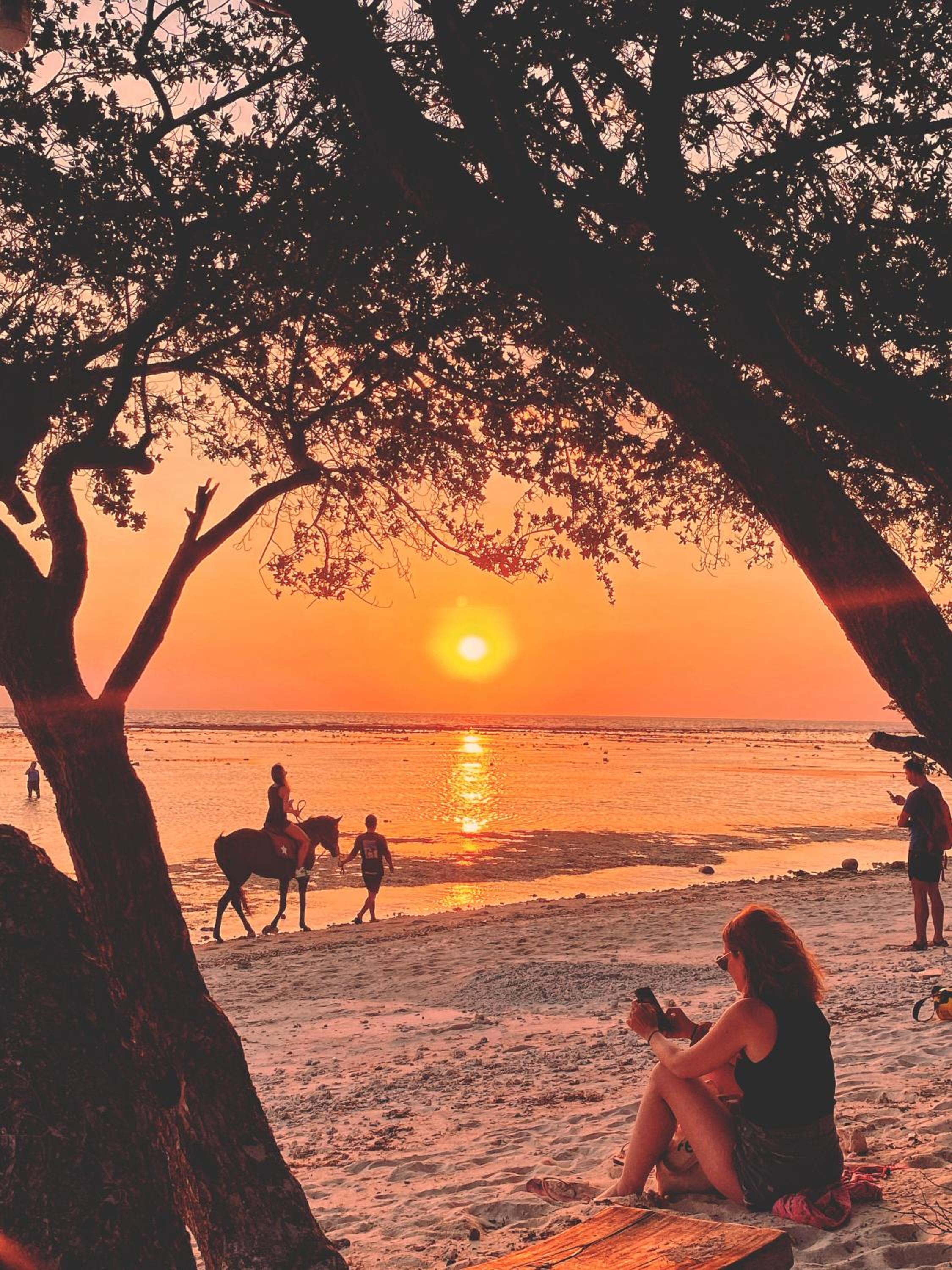 Ubuntu Glamping - Adult Campers Only