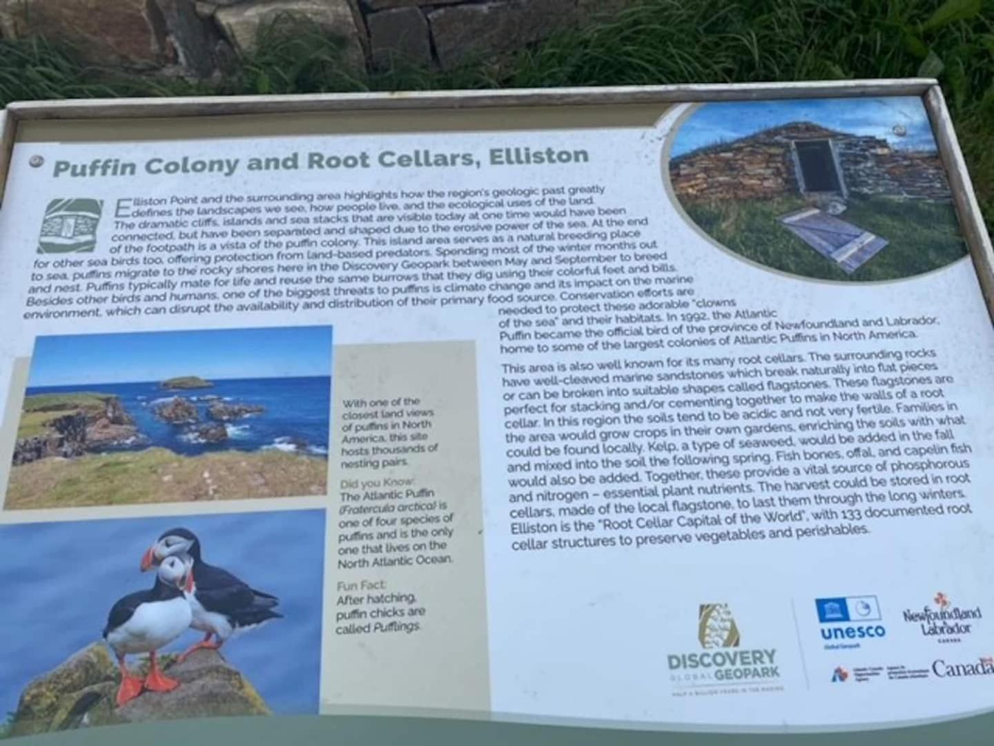 Elliston Oasis Every View A Coastal Masterpiece