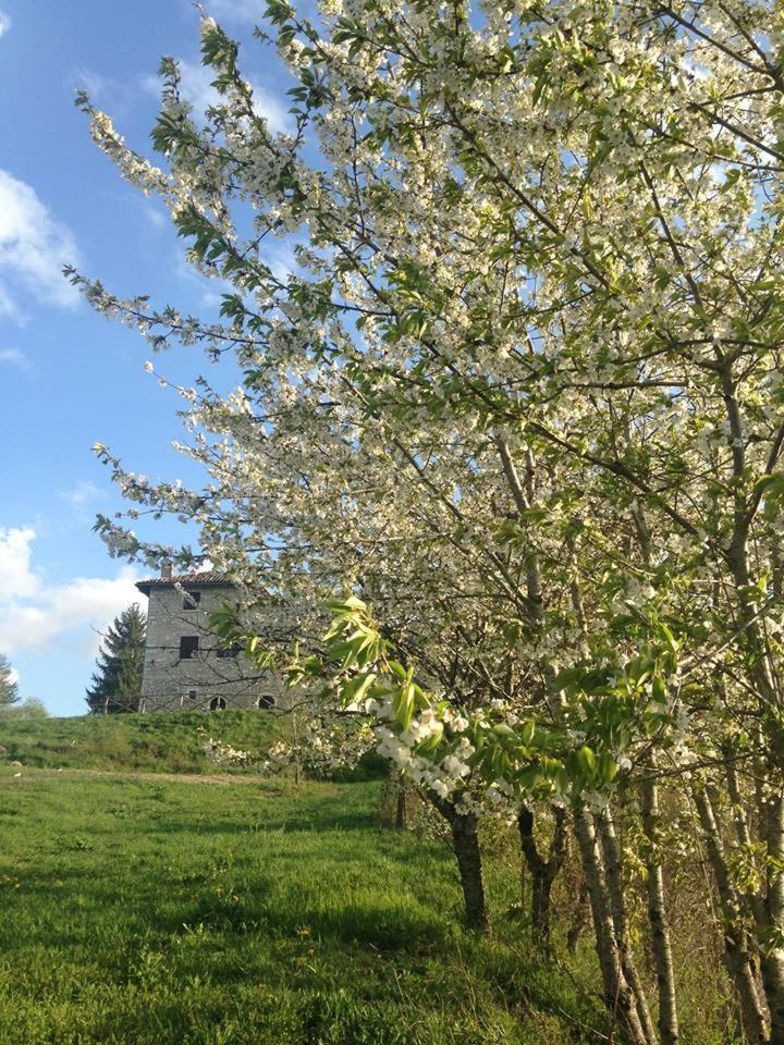 Agriturismo La Commenda-Adults Only