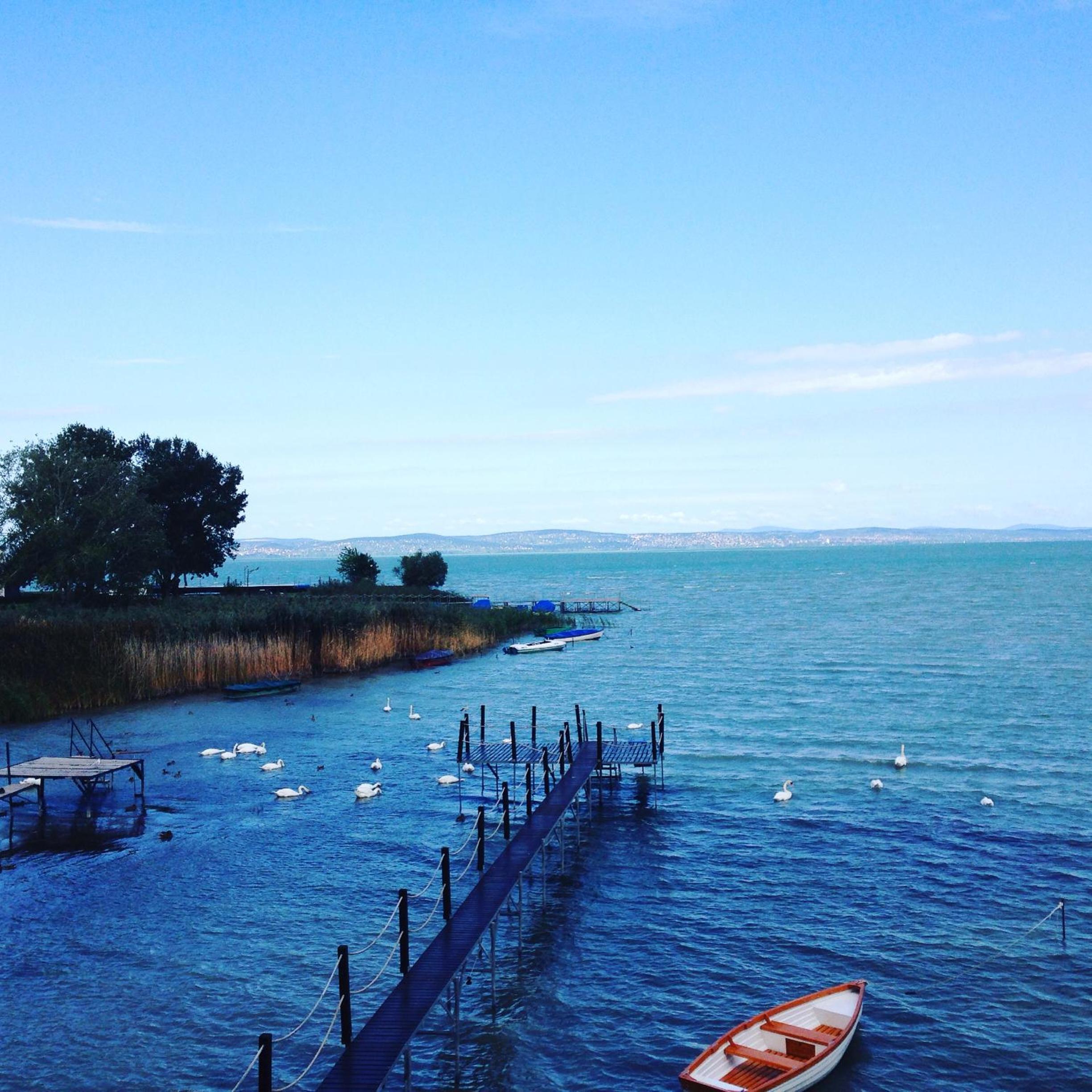 Royal Mediterran