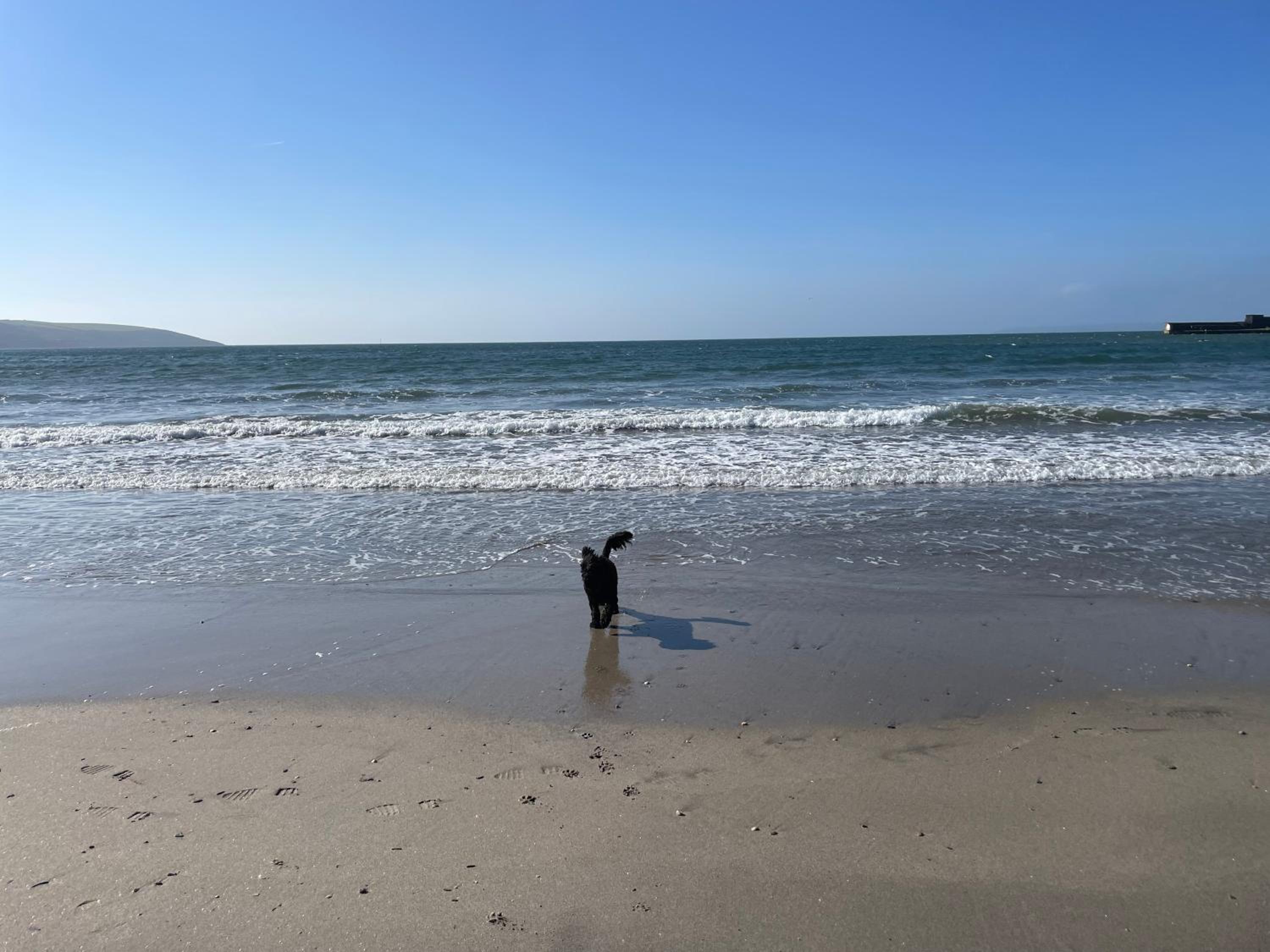 Golden Dunes Retreat, Dog-Friendly Stay at Par Sands Holiday Park, Cornwall