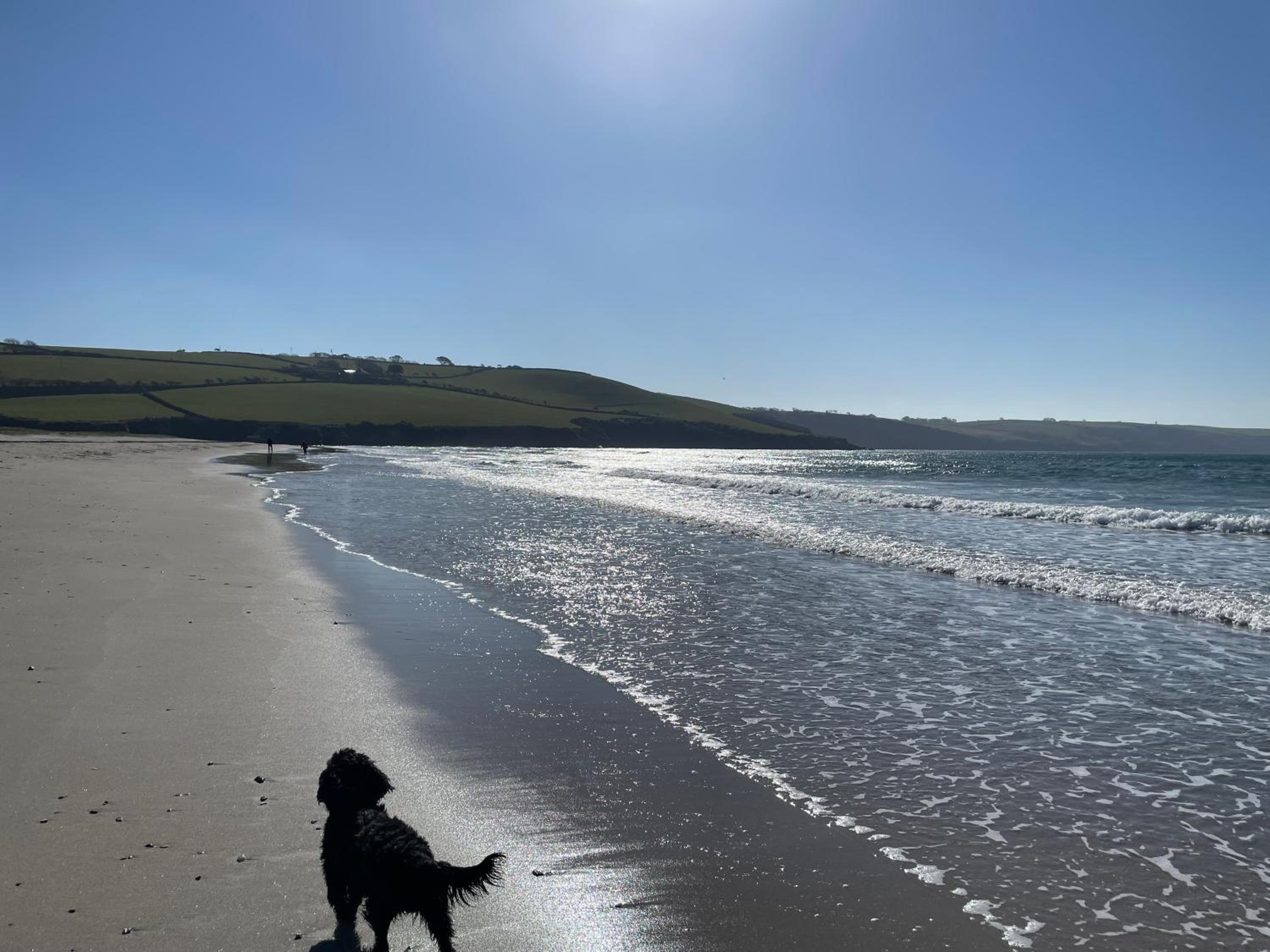Golden Dunes Retreat, Dog-Friendly Stay at Par Sands Holiday Park, Cornwall