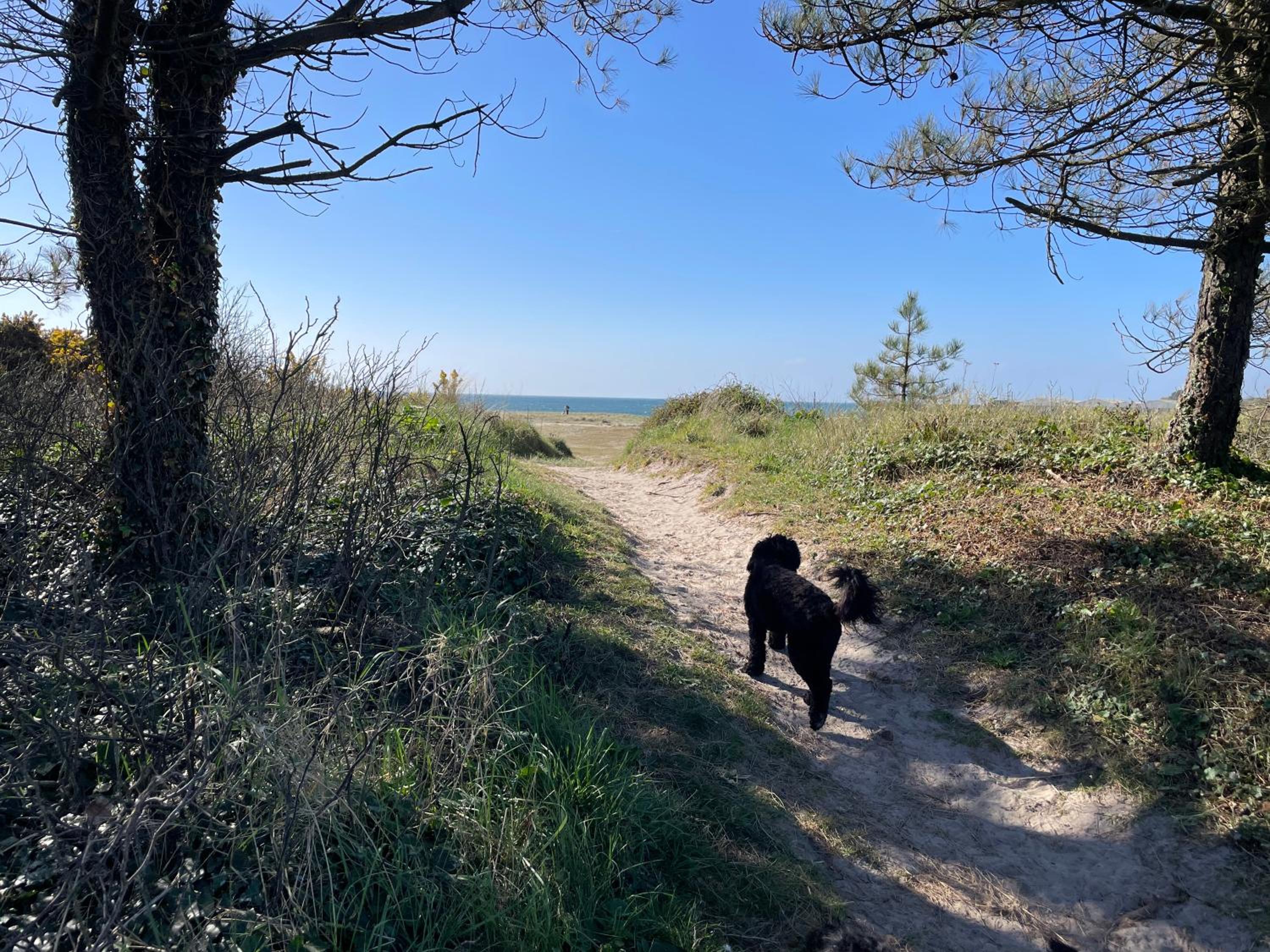Golden Dunes Retreat, Dog-Friendly Stay at Par Sands Holiday Park, Cornwall