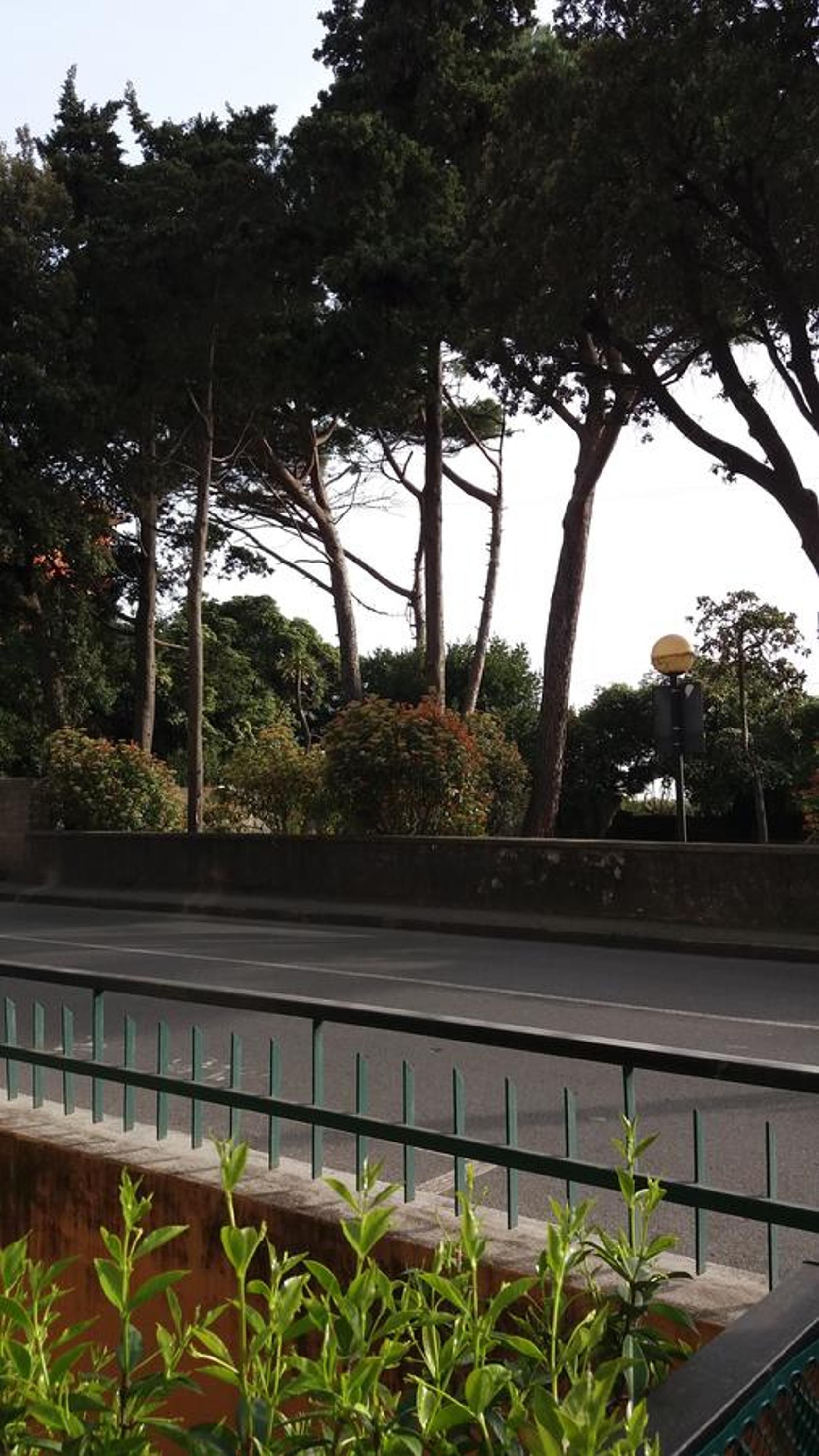 Appartamento fronte spiaggia