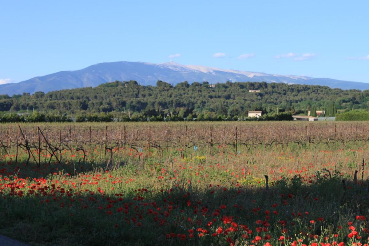 Gîte Les Feuilles de Chêne