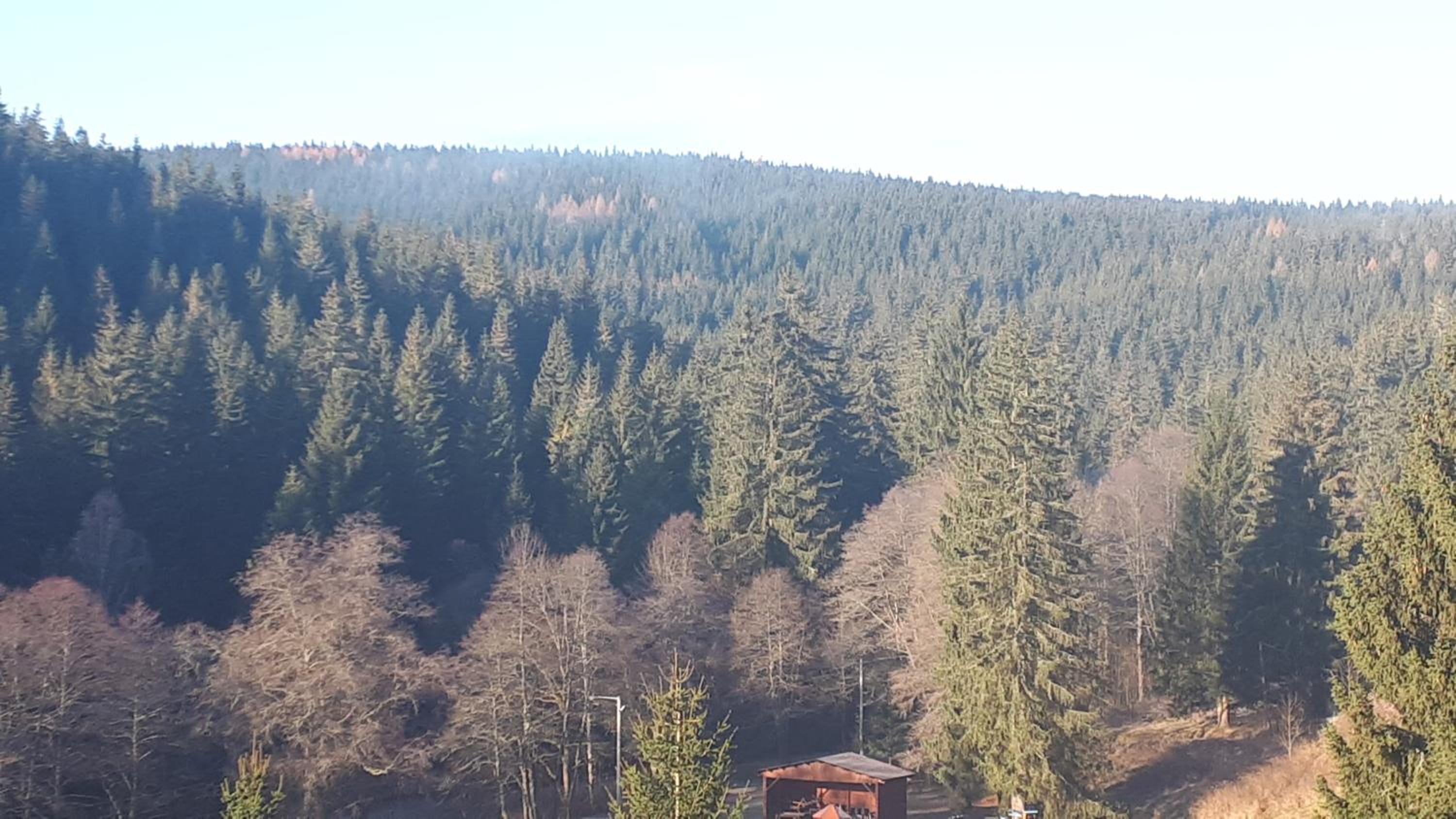 The House Next to the Forest - LAKMAT