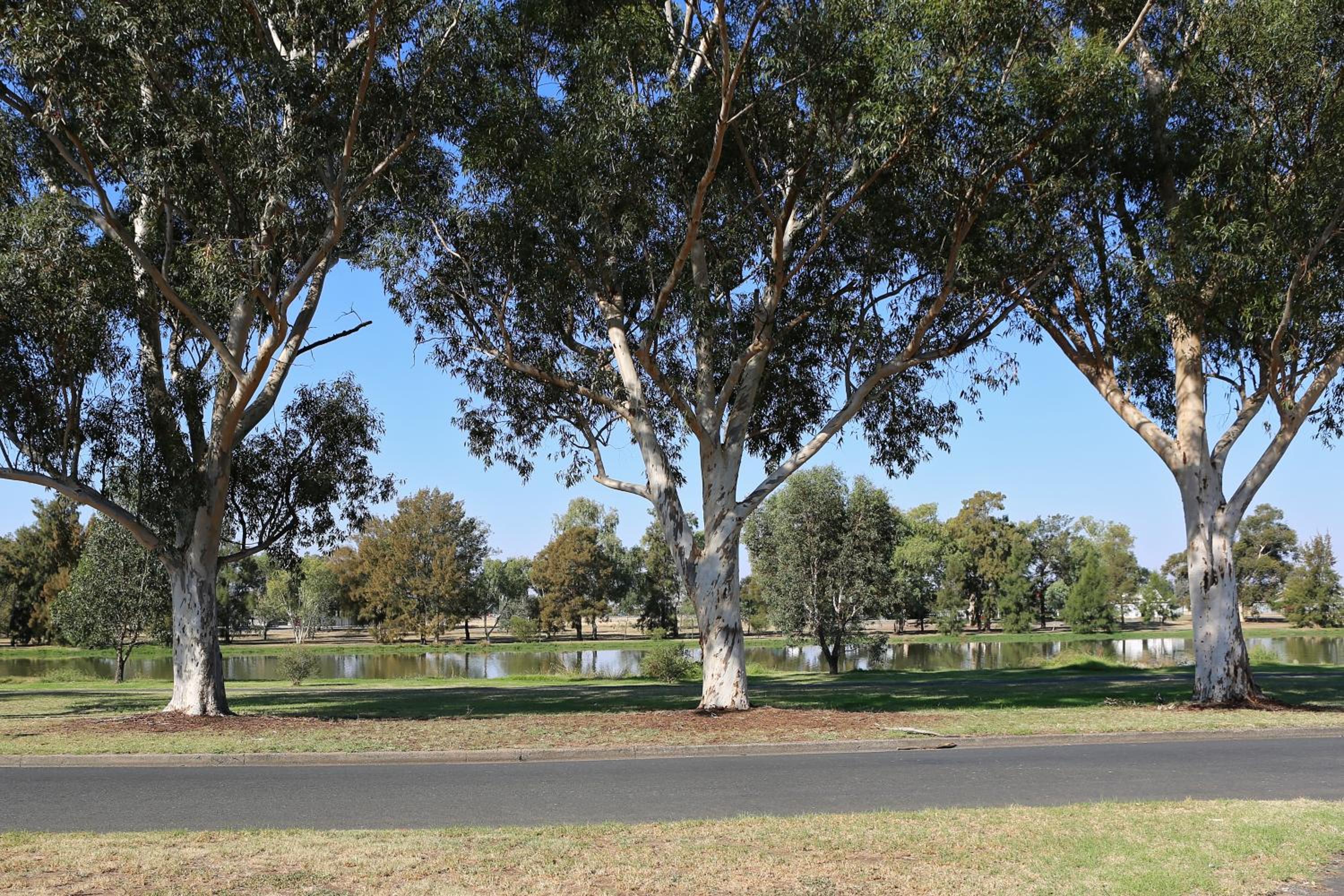 Forbes Victoria Inn