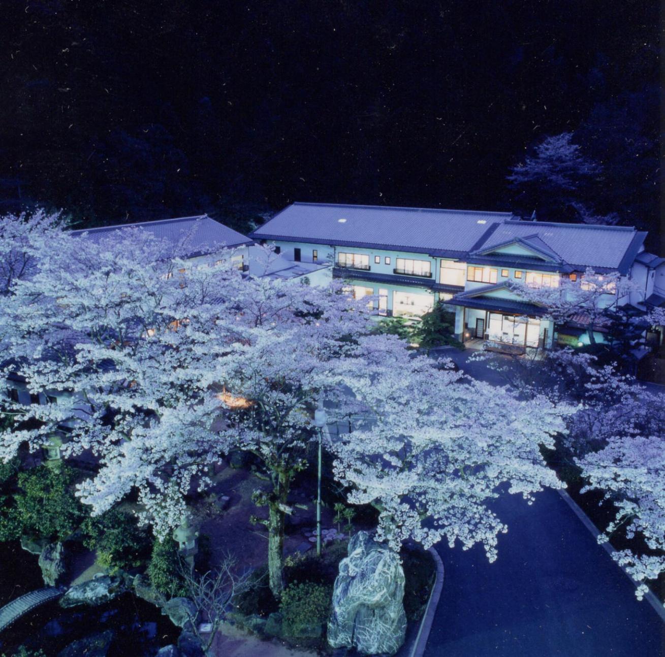 Hotel Okumizuma Onsen