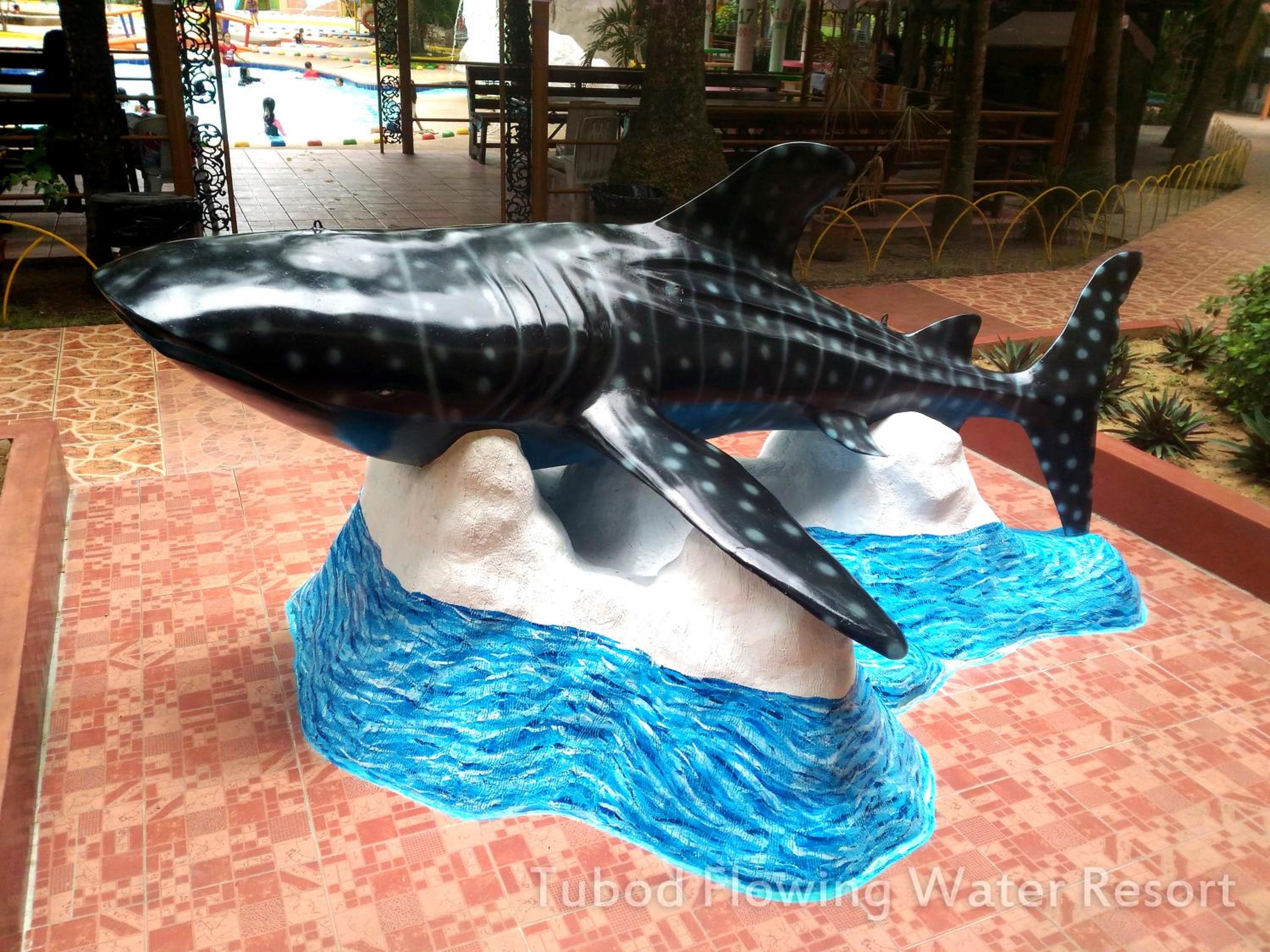 Tubod Flowing Water Resort