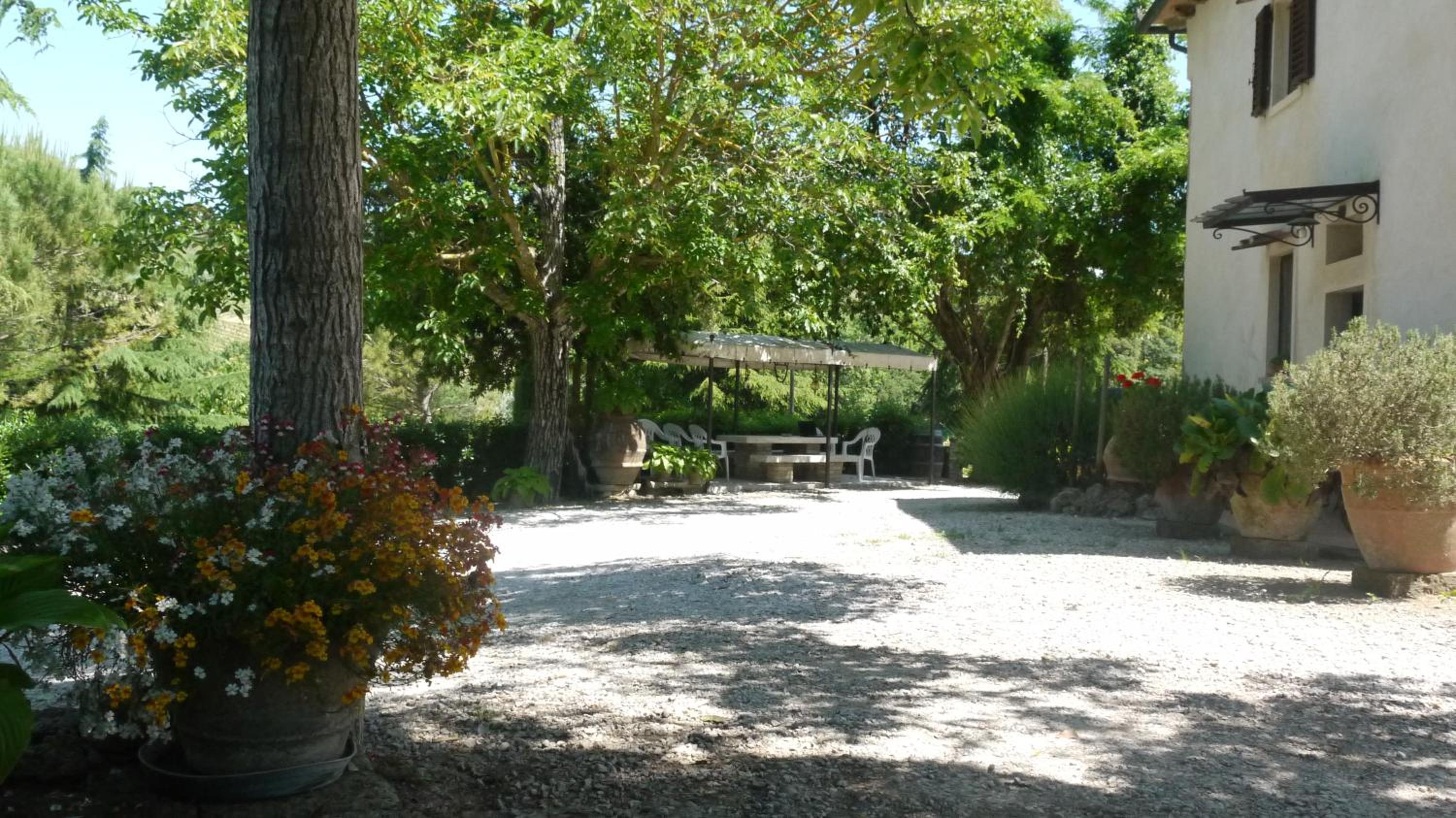 Photo 43