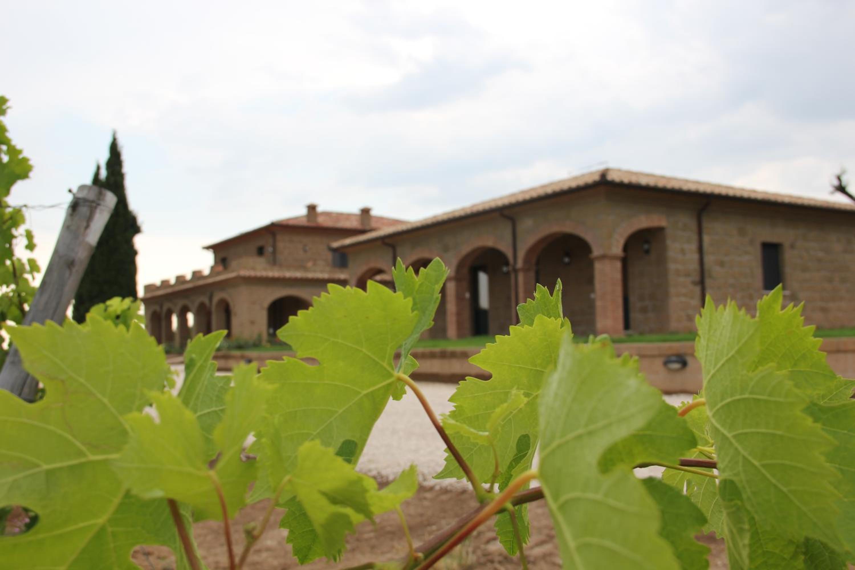 Agriturismo Poggio Al Tufo