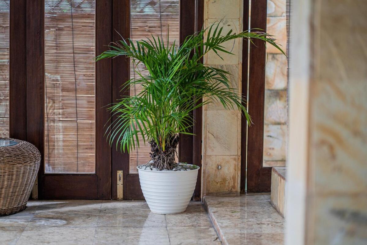 Nipper Villa - Spacious 4BR in Canggu