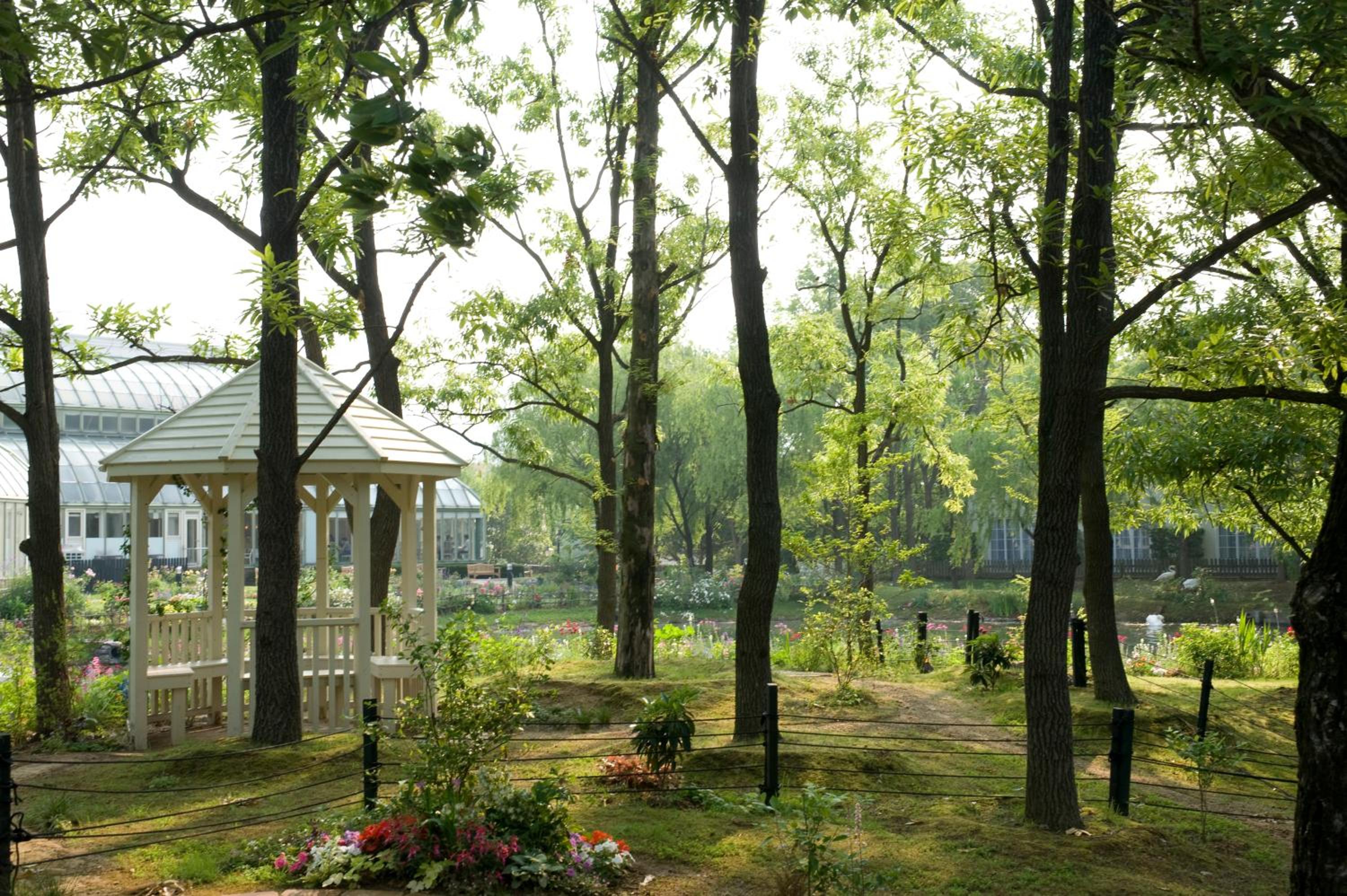 Forest Villa Huis Ten Bosch