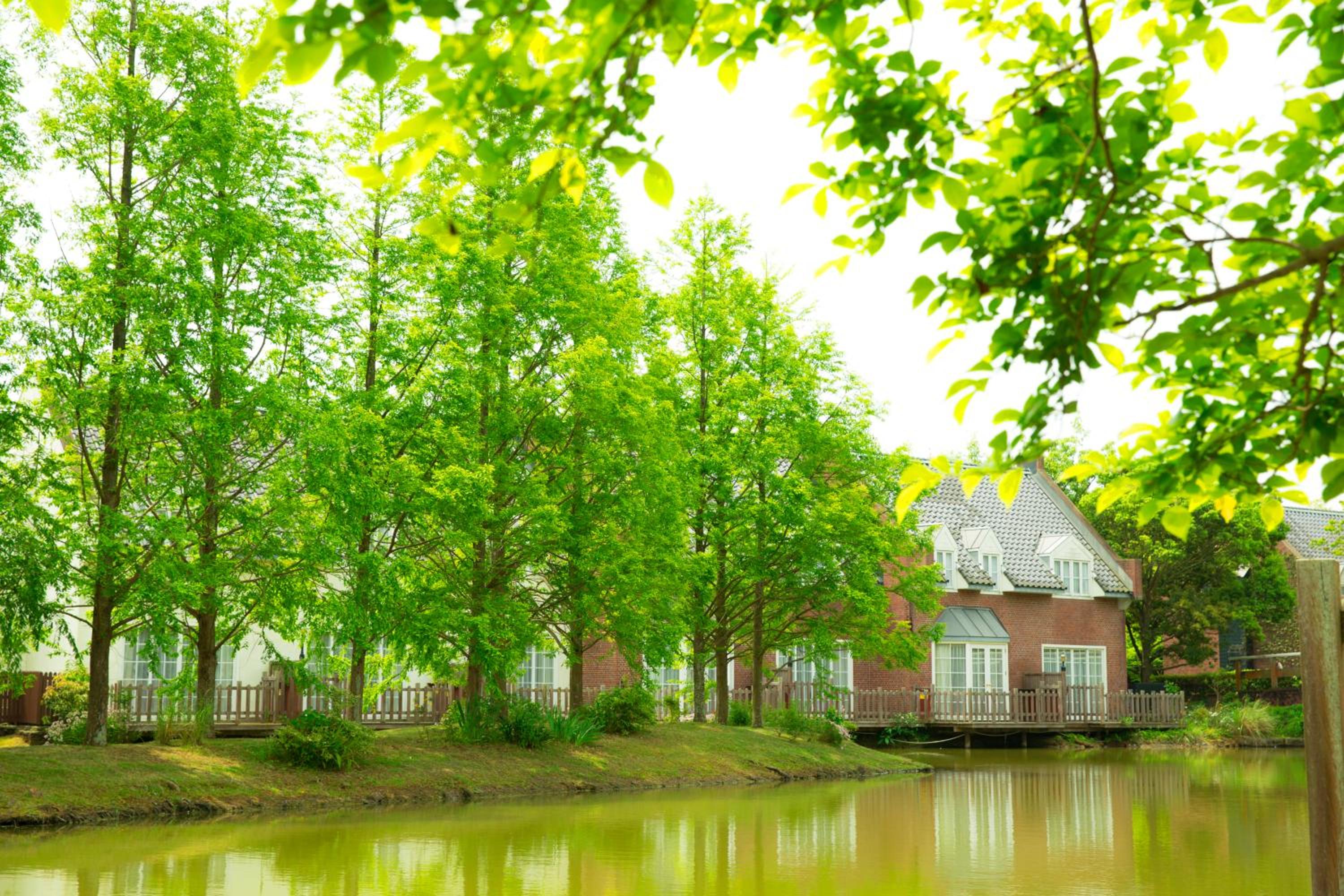 Forest Villa Huis Ten Bosch