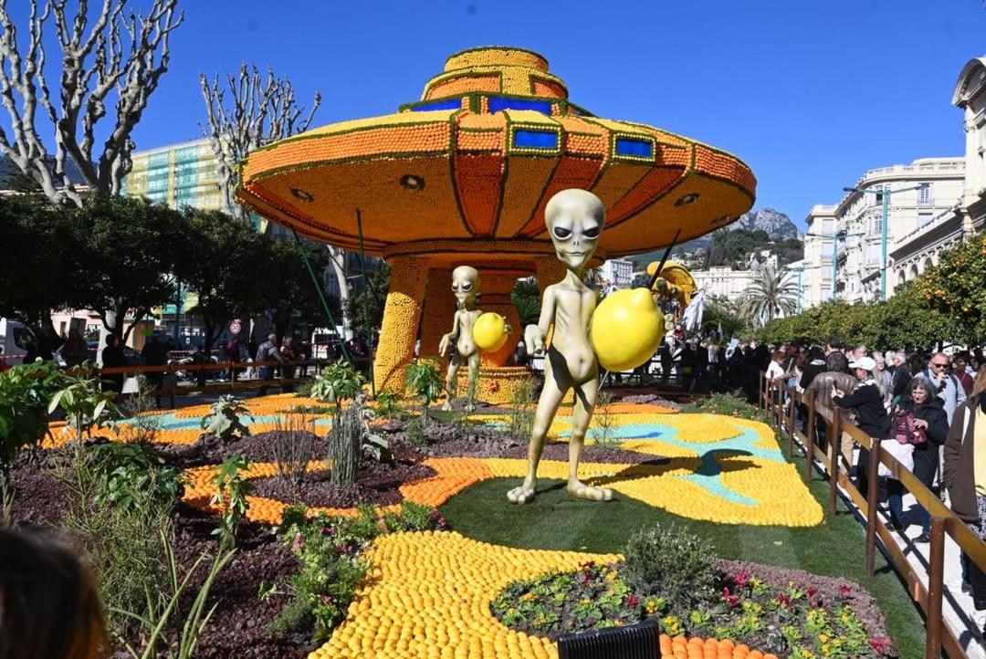 Photo 24