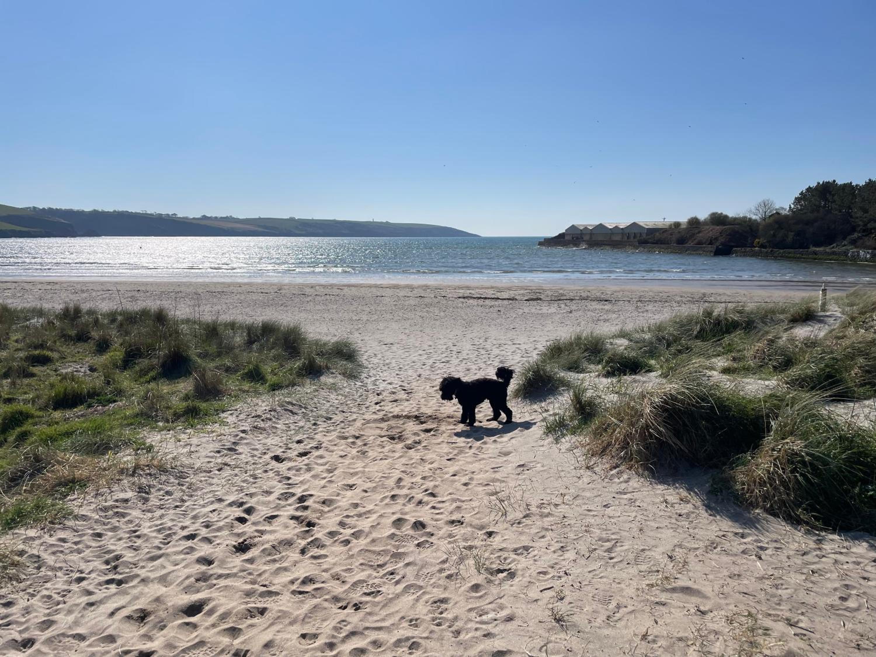 Golden Dunes Retreat, Dog-Friendly Stay at Par Sands Holiday Park, Cornwall